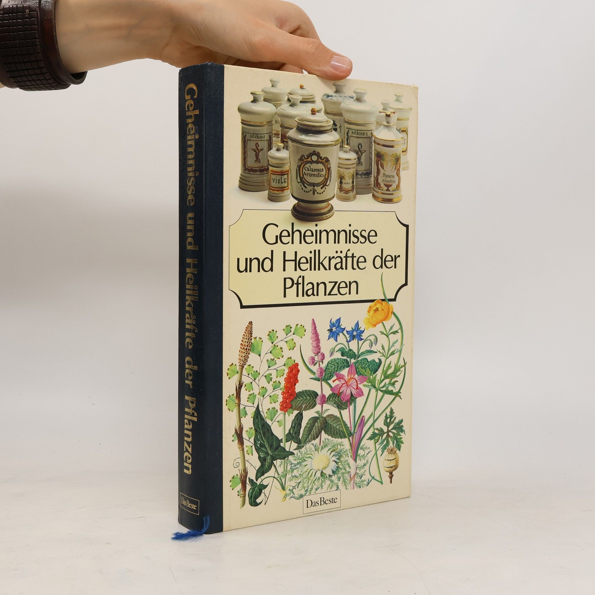 Autorenkollektiv Geheimisse und Heilkräfte der Pflanzen