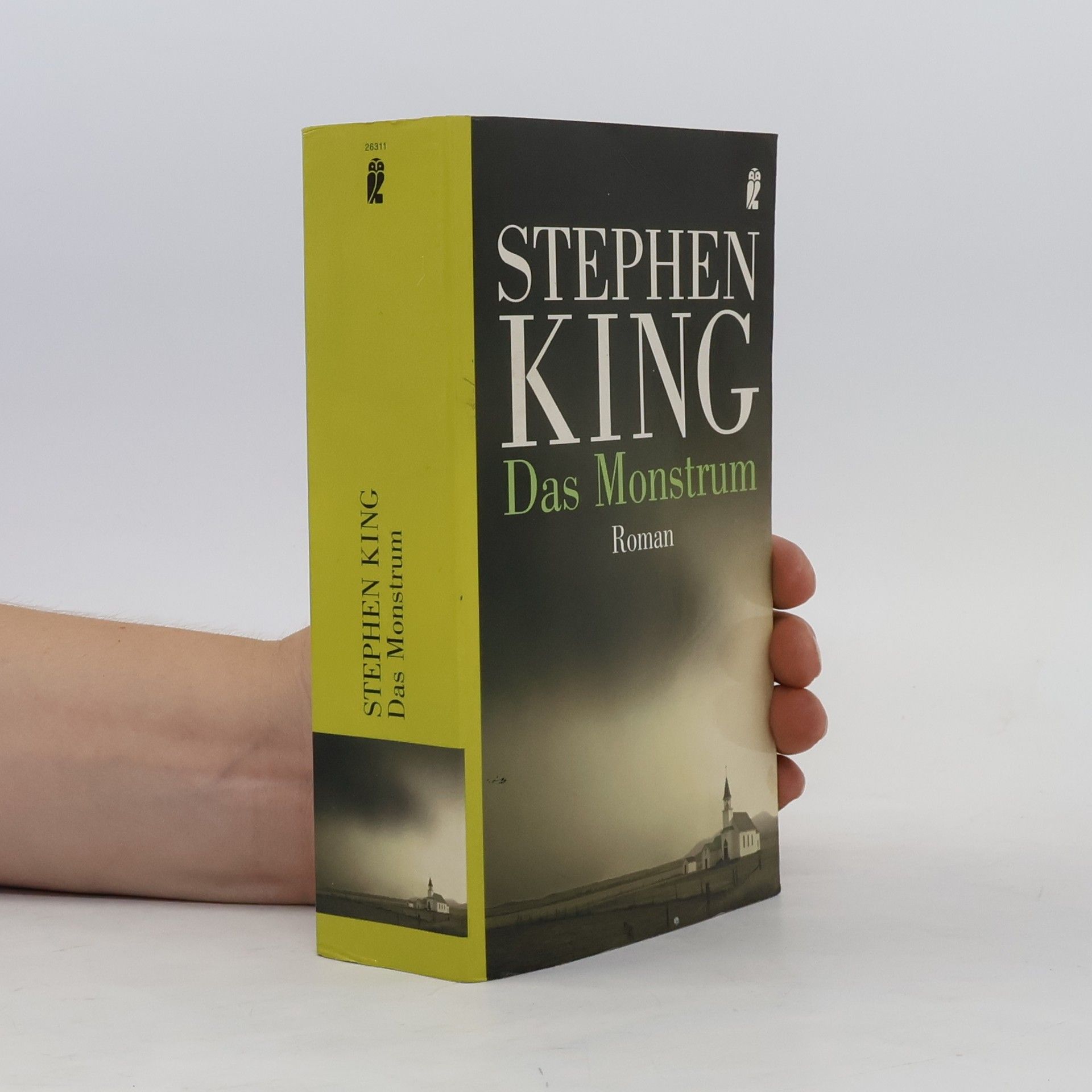 Stephen King Das Monstrum