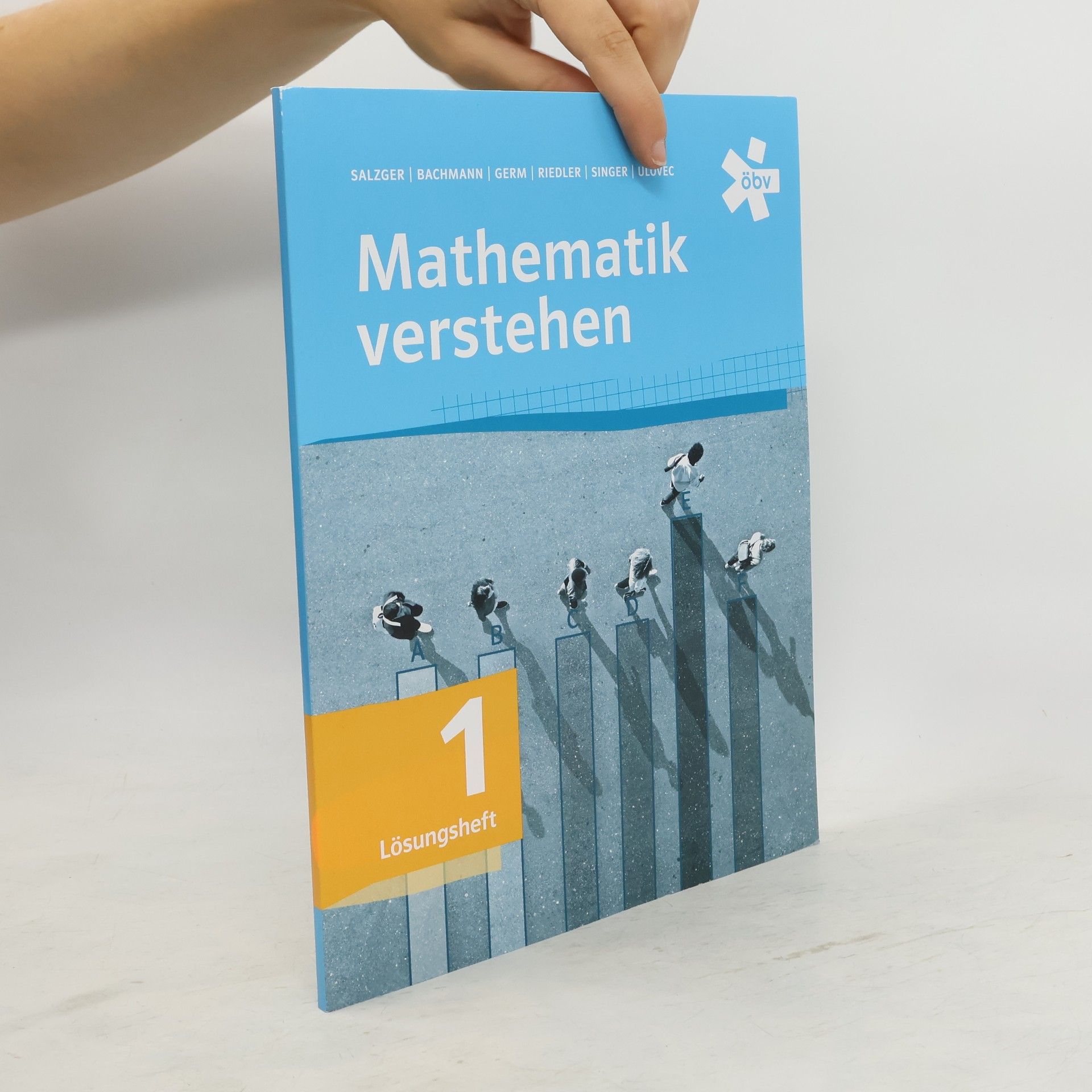 Bernhard Salzger Mathematik verstehen 1, Lösungen