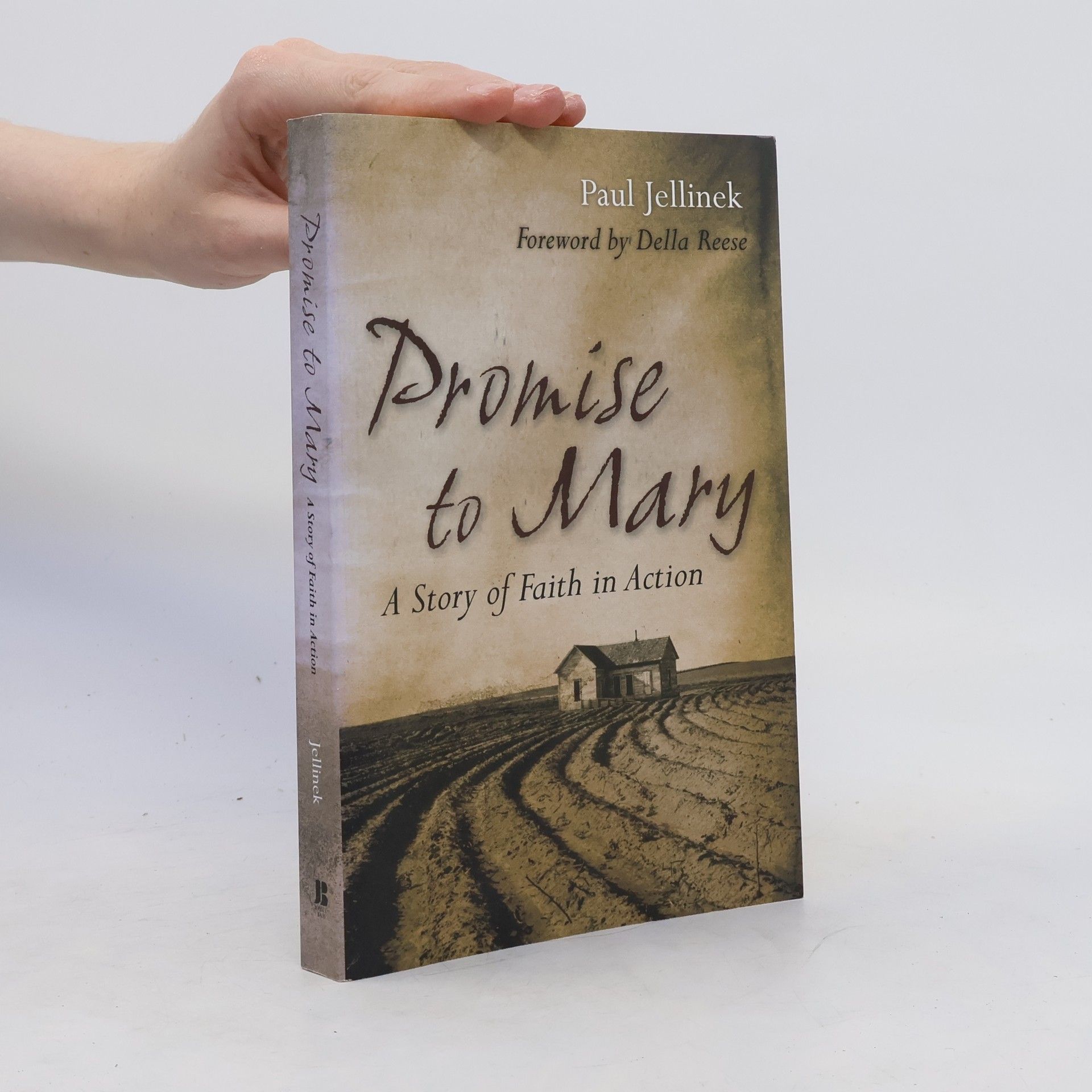 Paul Jellinek Promise to Mary