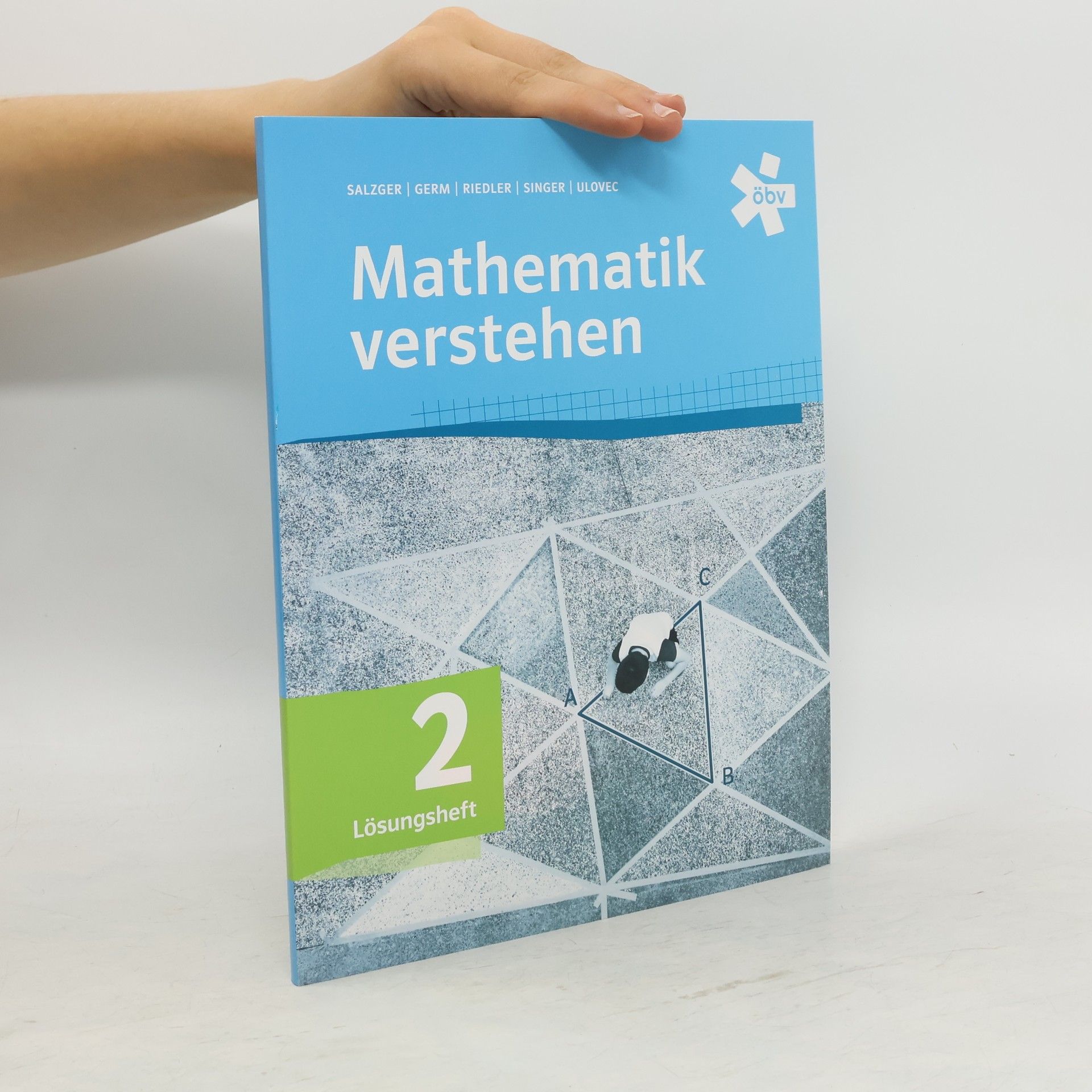 kolektiv Mathematik verstehen 2, Lösungen