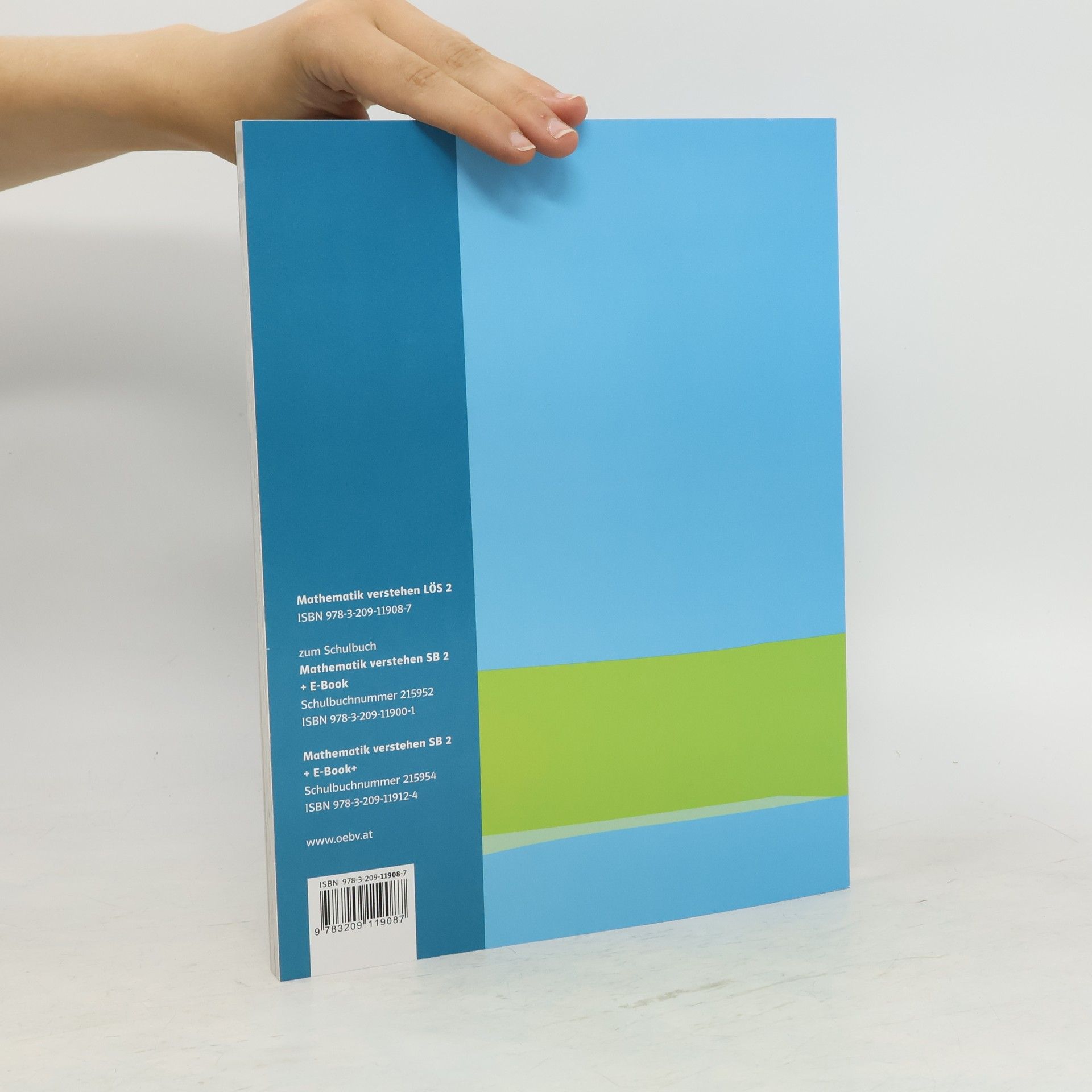 Various authors Mathematik verstehen 2, Lösungen