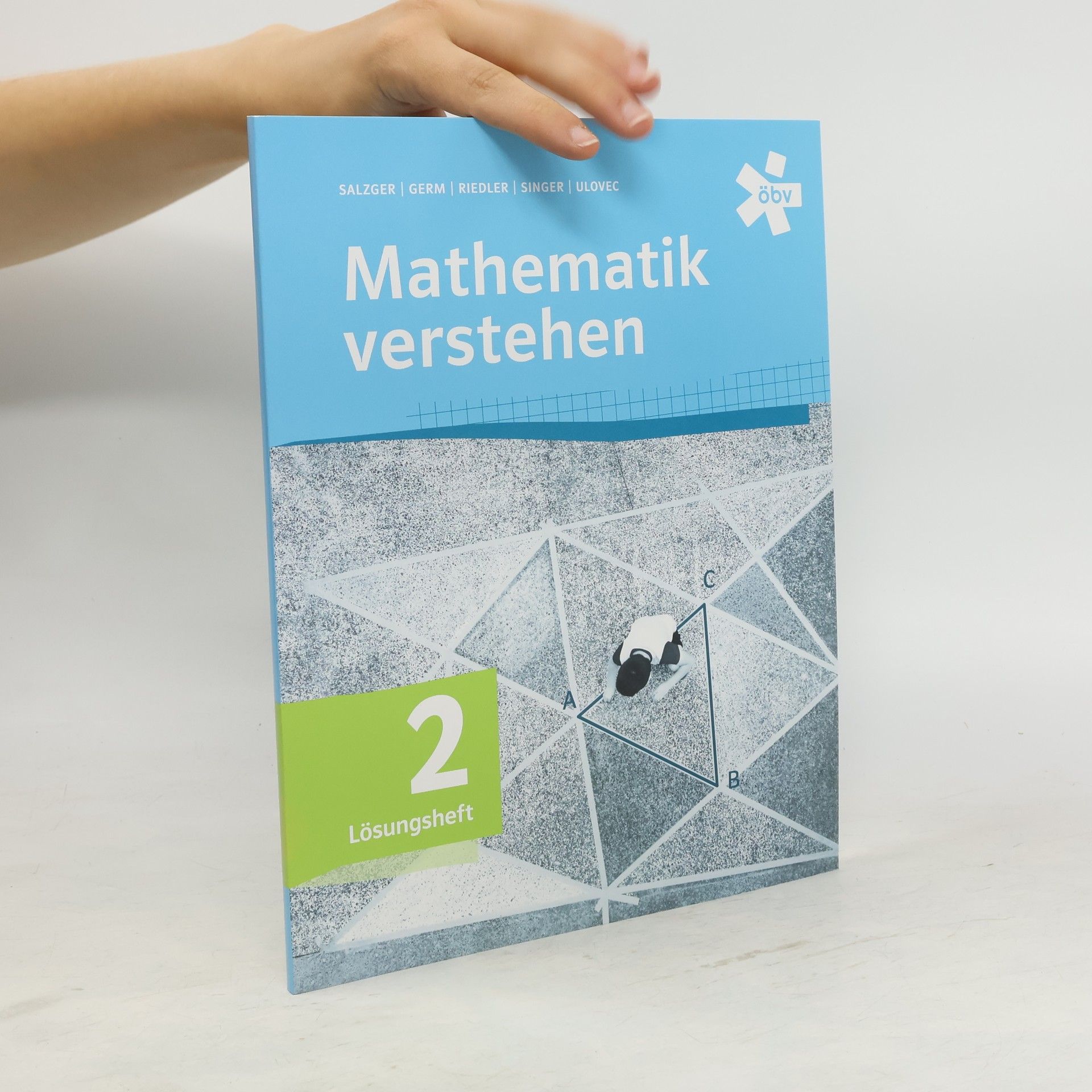 kolektiv Mathematik verstehen 2, Lösungen