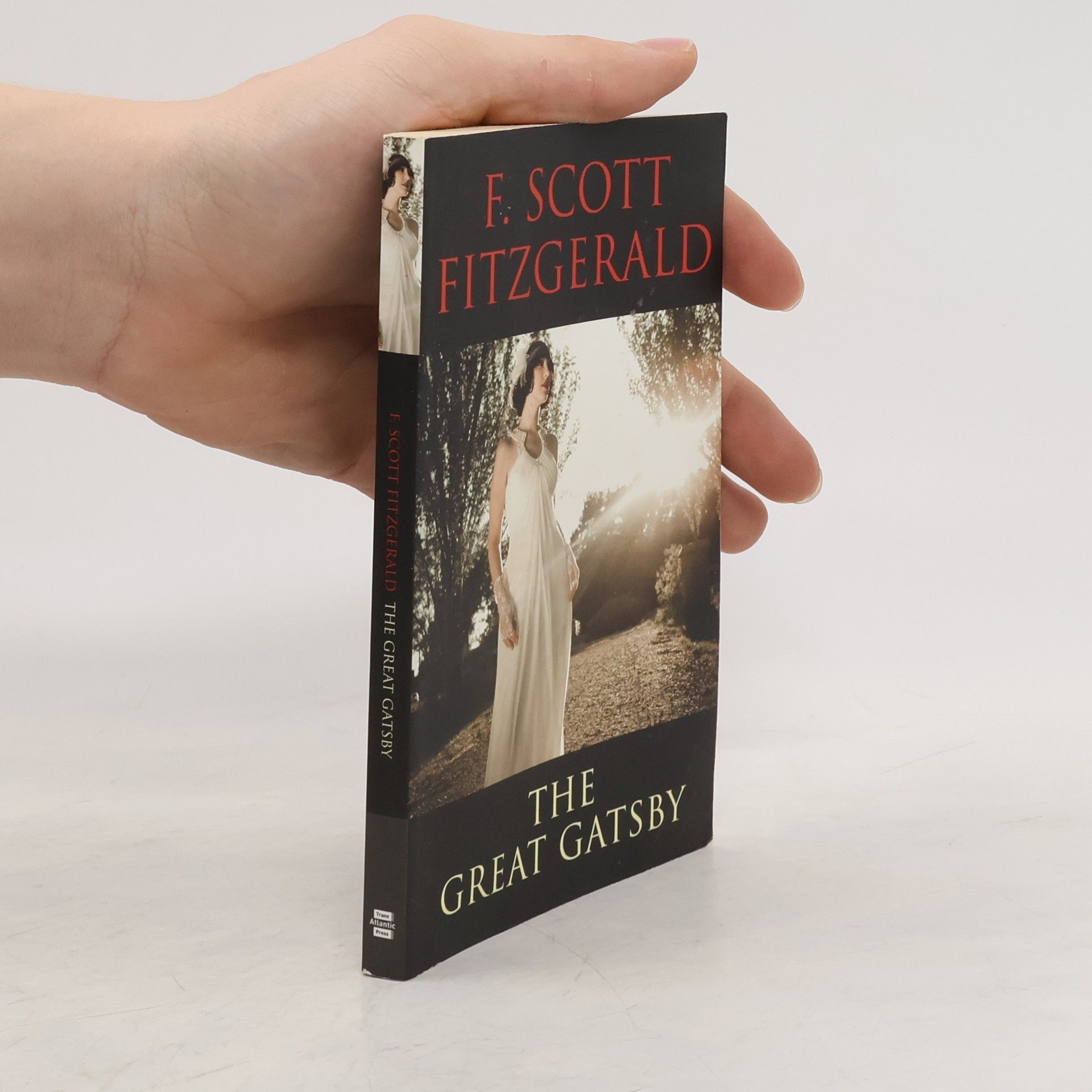 Francis Scott Fitzgerald The great Gatsby