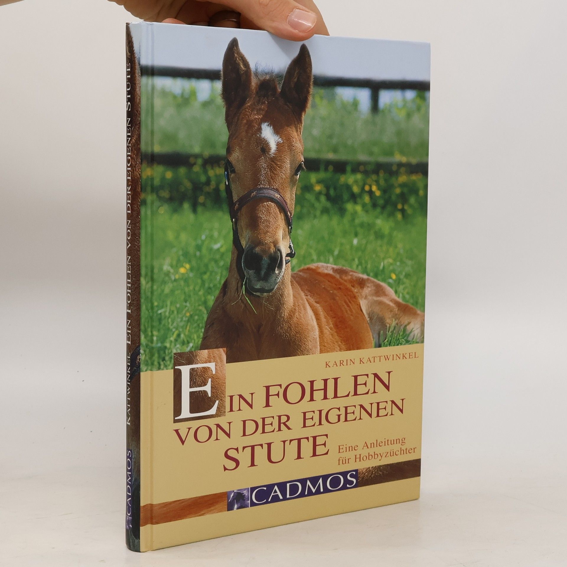 Karin Kattwinkel Ein Fohlen von der eigenen Stute