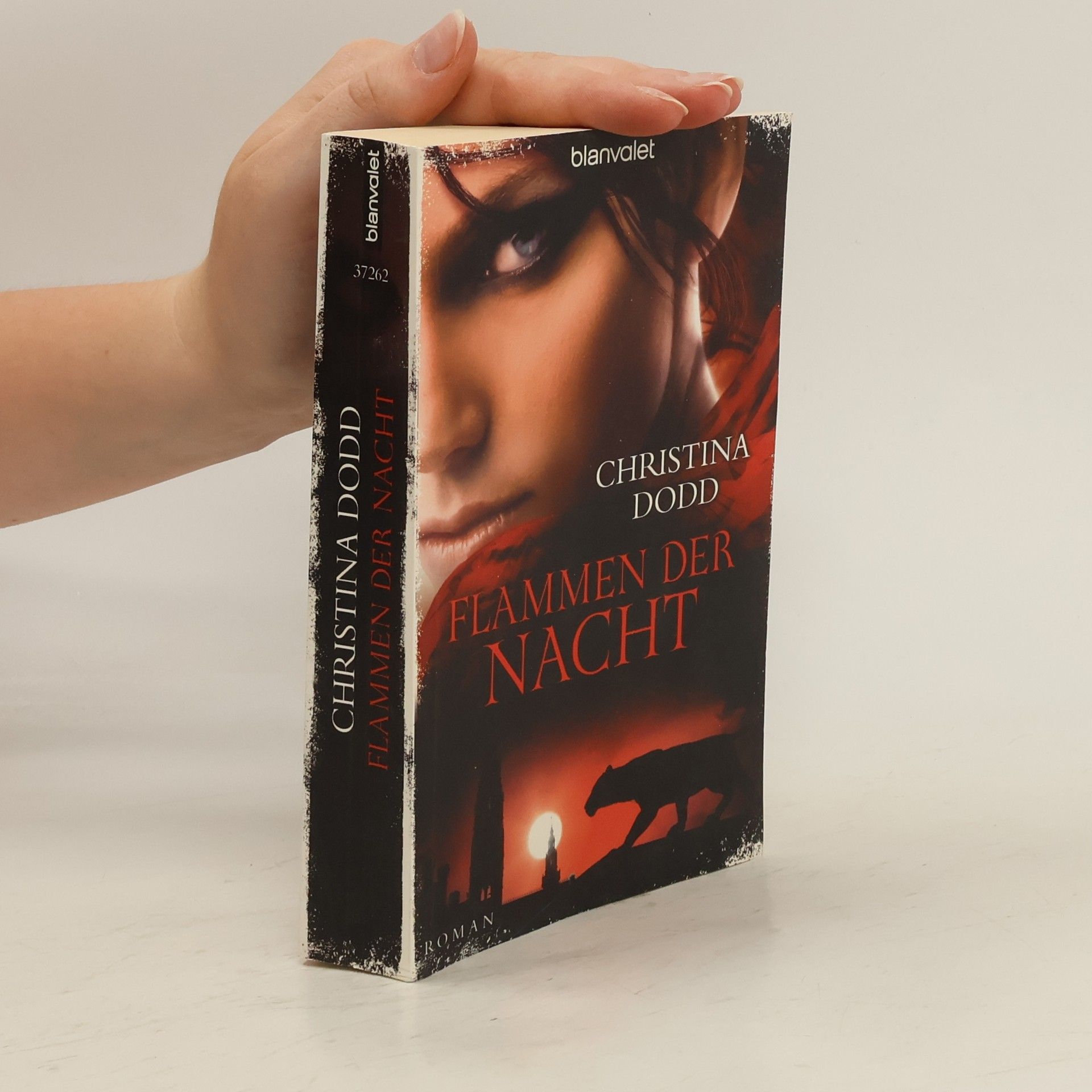 Christina Dodd Flammen der Nacht