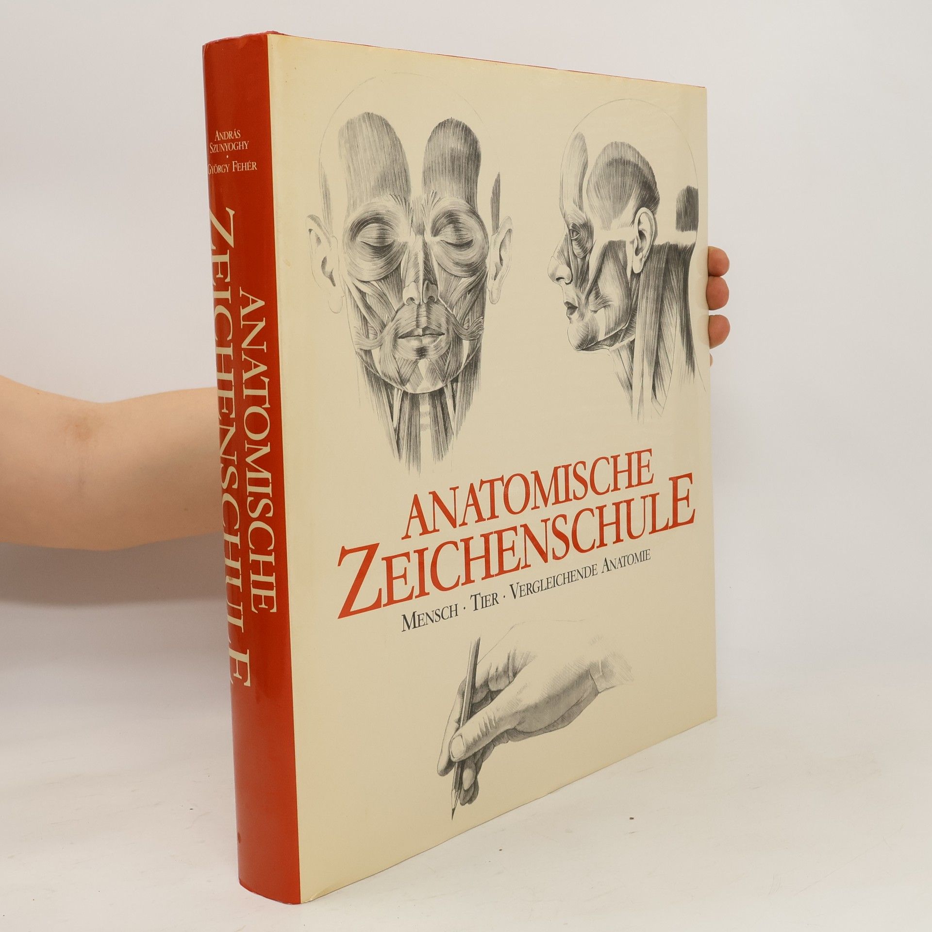 András Szunyoghy Anatomische Zeichenschule