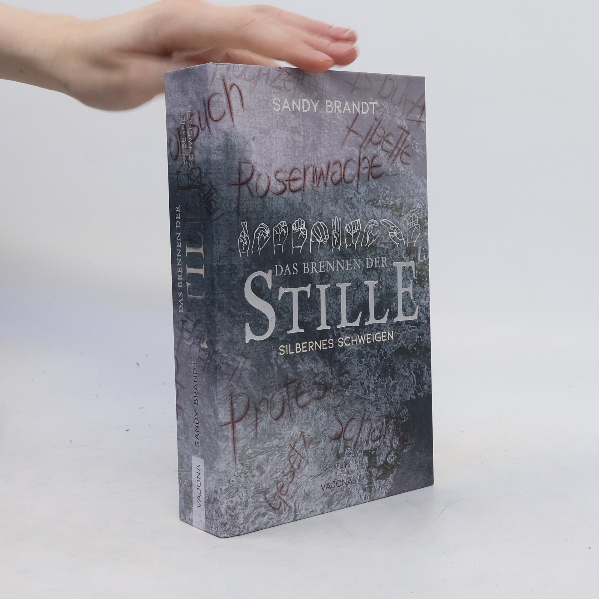Sandy Brandt DAS BRENNEN DER STILLE - Silbernes Schweigen (Band 2)
