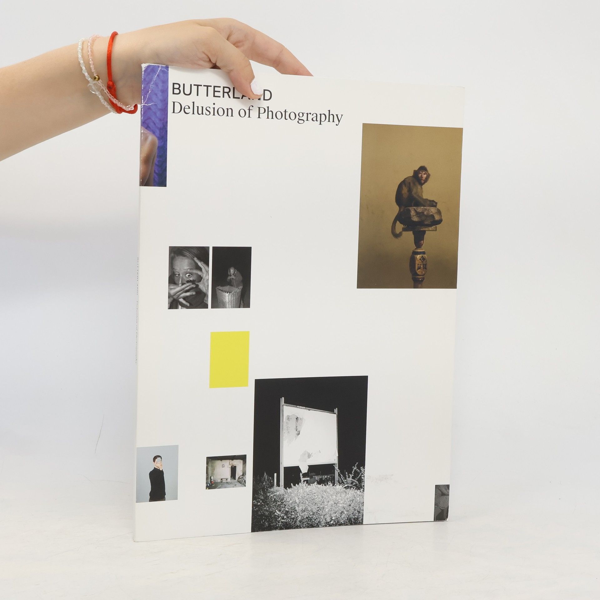 Susanne Brügger Butterland