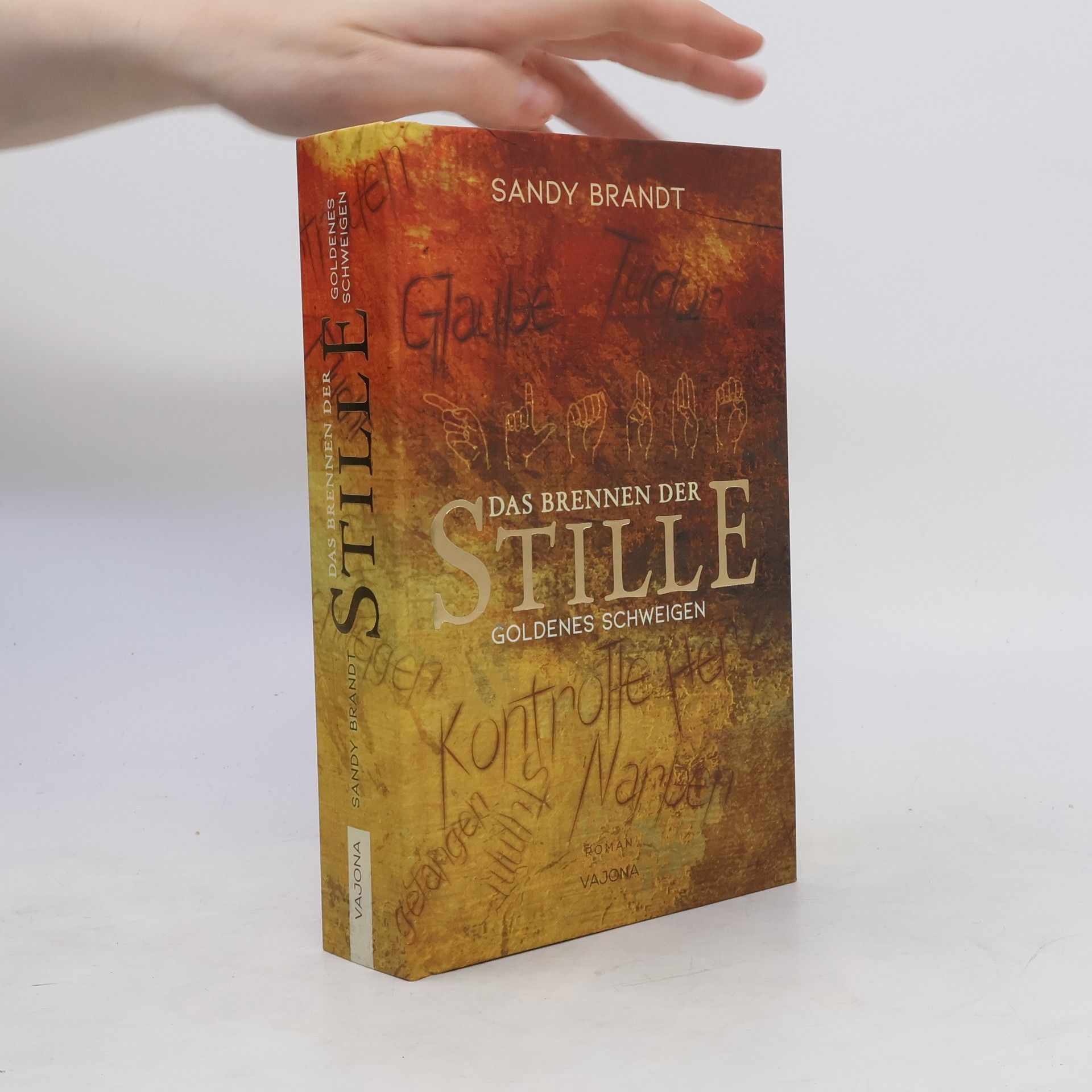 Sandy Brandt DAS BRENNEN DER STILLE - Goldenes Schweigen (Band 1)