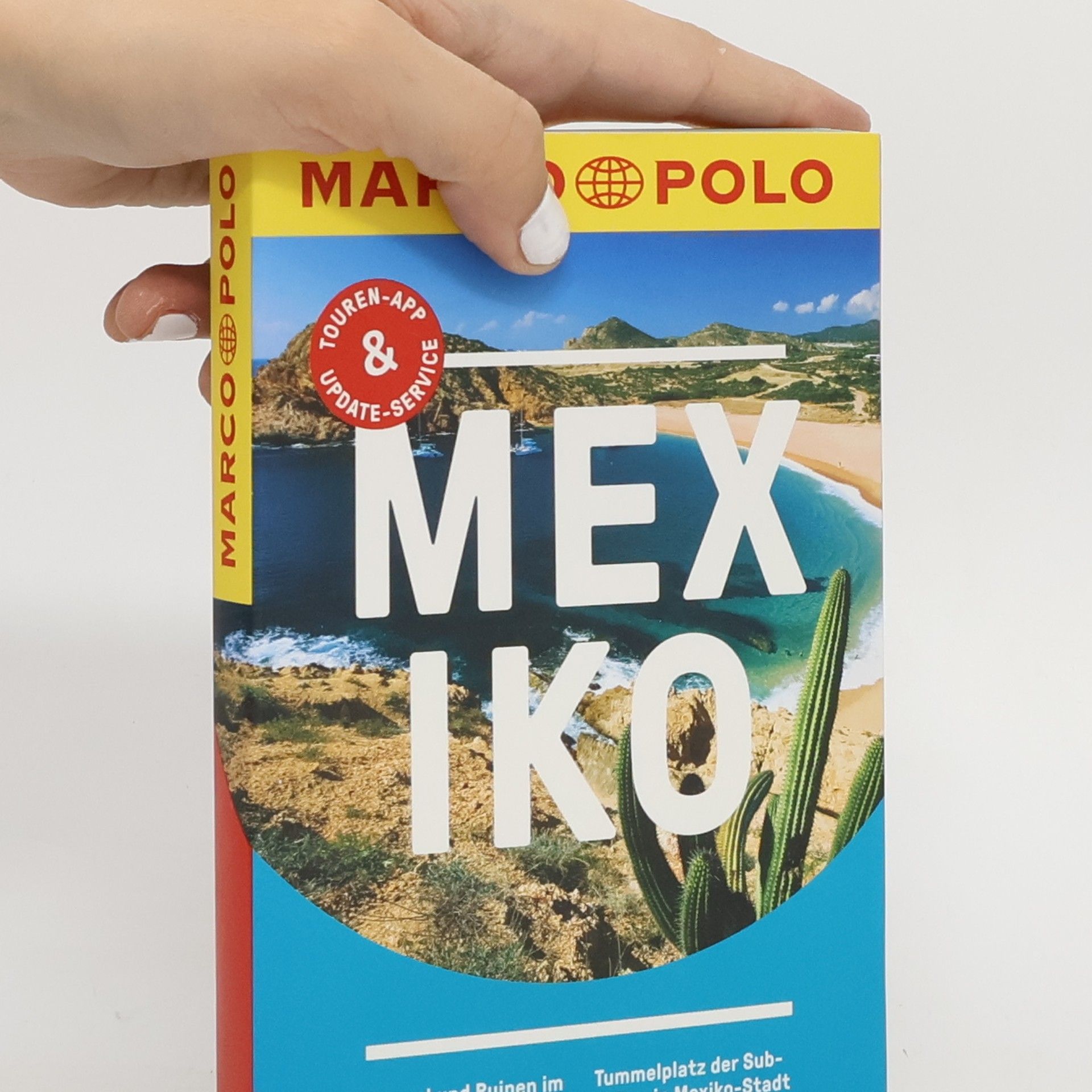 Manfred Wöbcke Mexiko