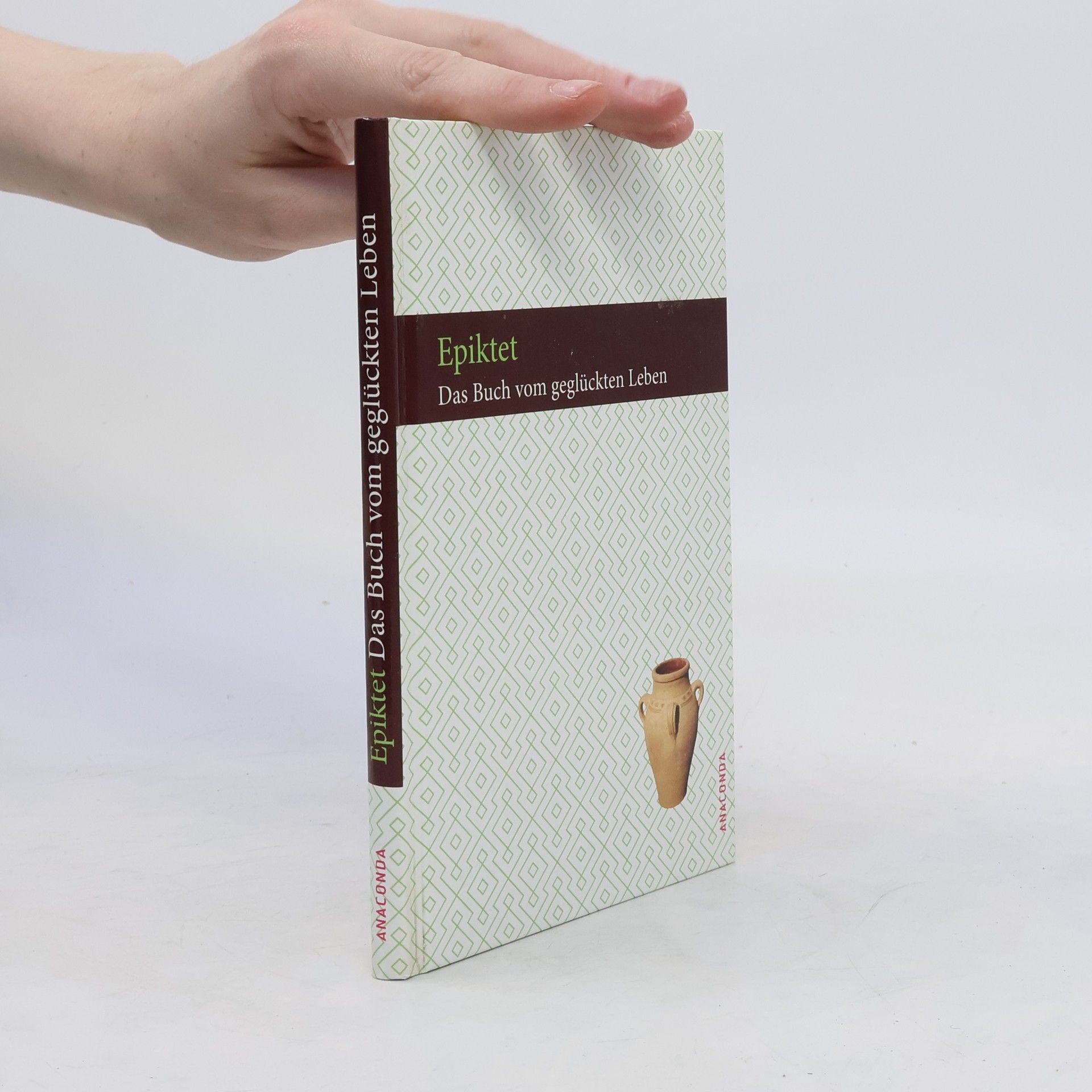 Philipp Conz Das Buch vom geglückten Leben