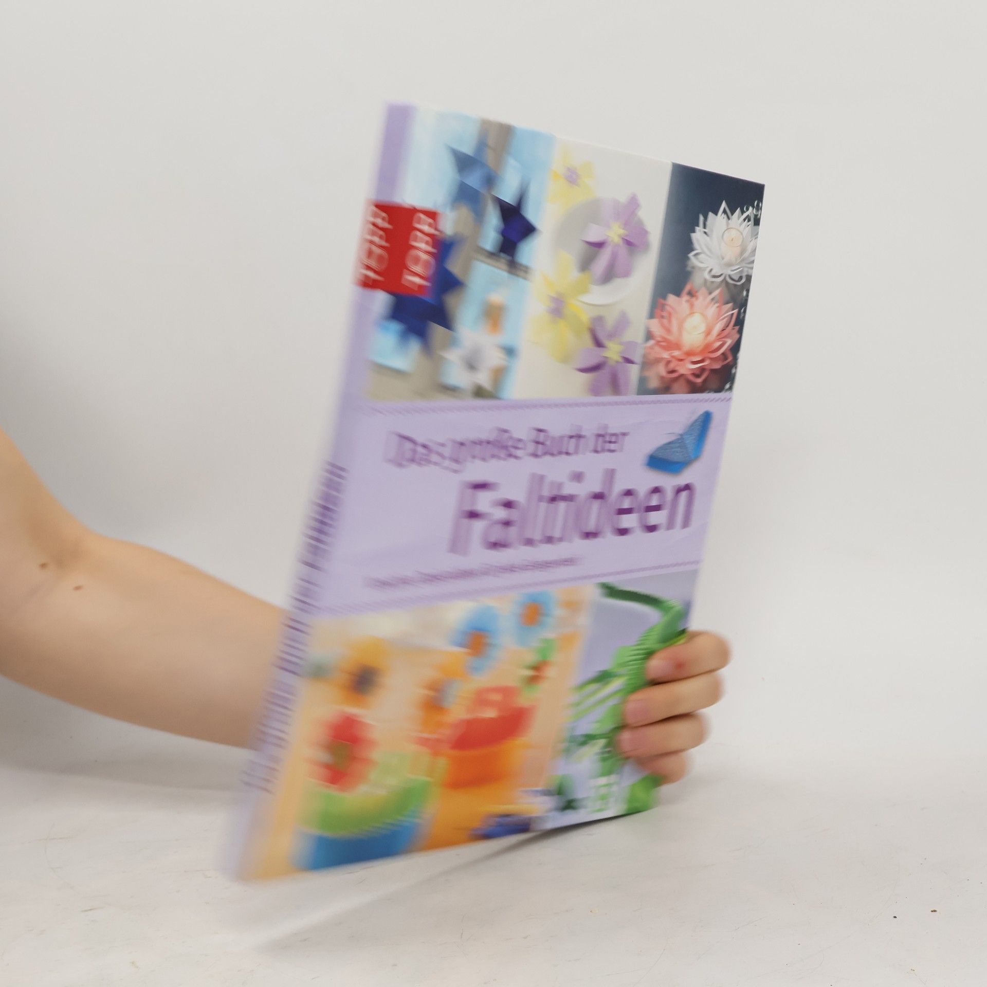kolektiv Das große Buch der Faltideen