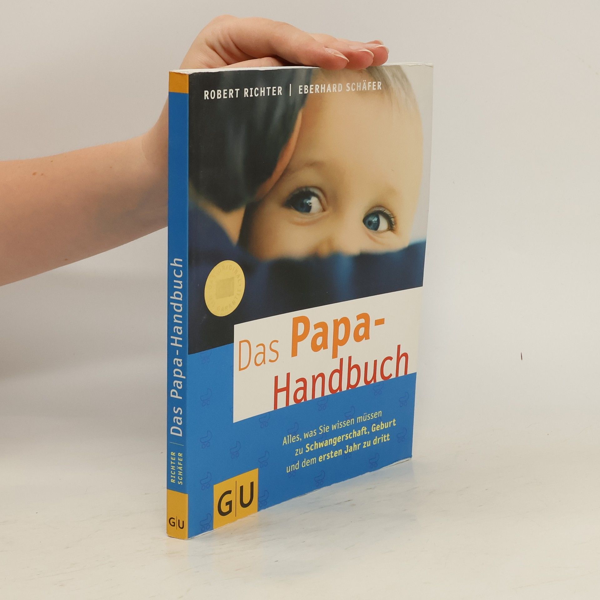 Robert Richter Das Papa-Handbuch