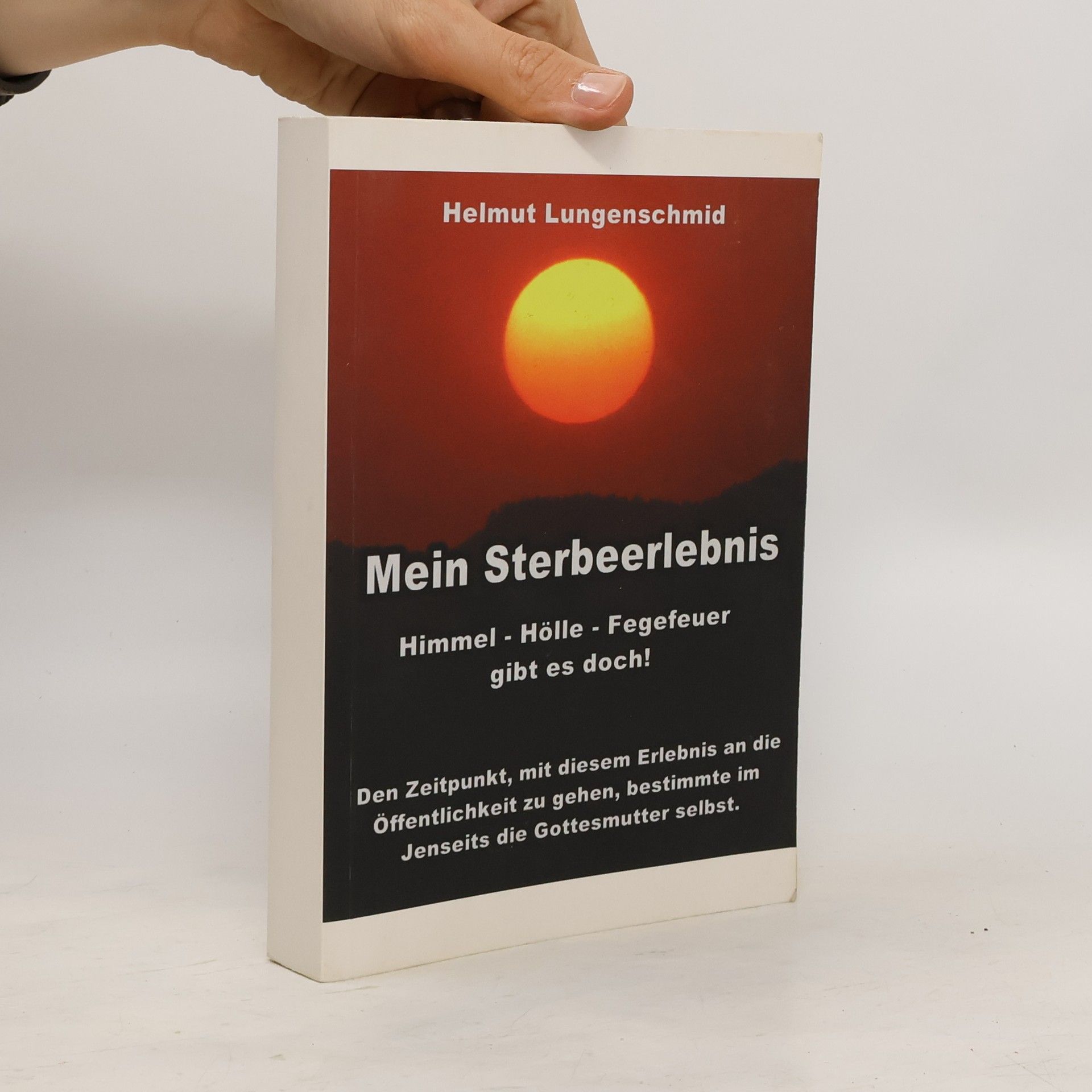Helmut Lungenschmid Mein Sterbeerlebnis