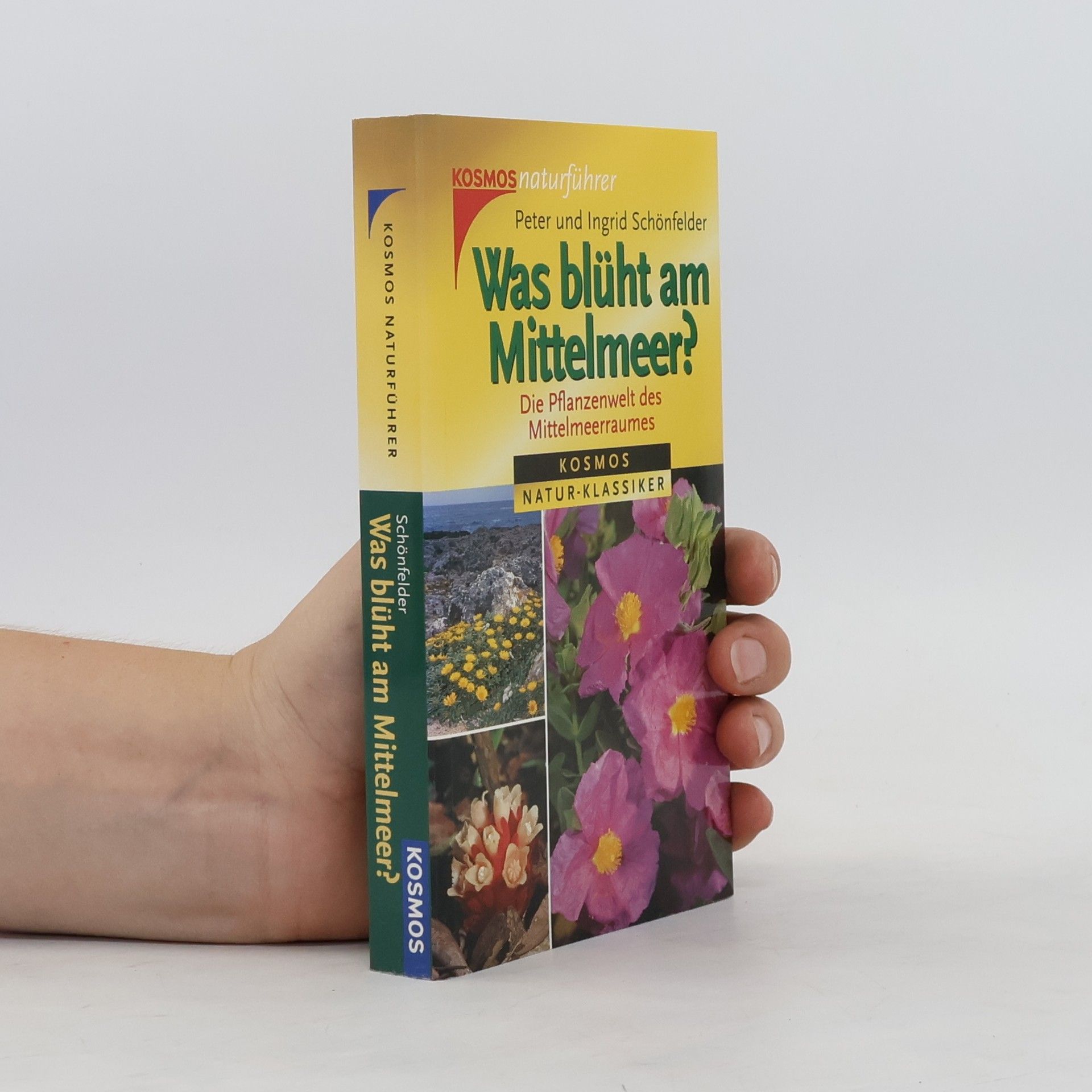 Peter Schönfelder Was blüht am Mittelmeer?
