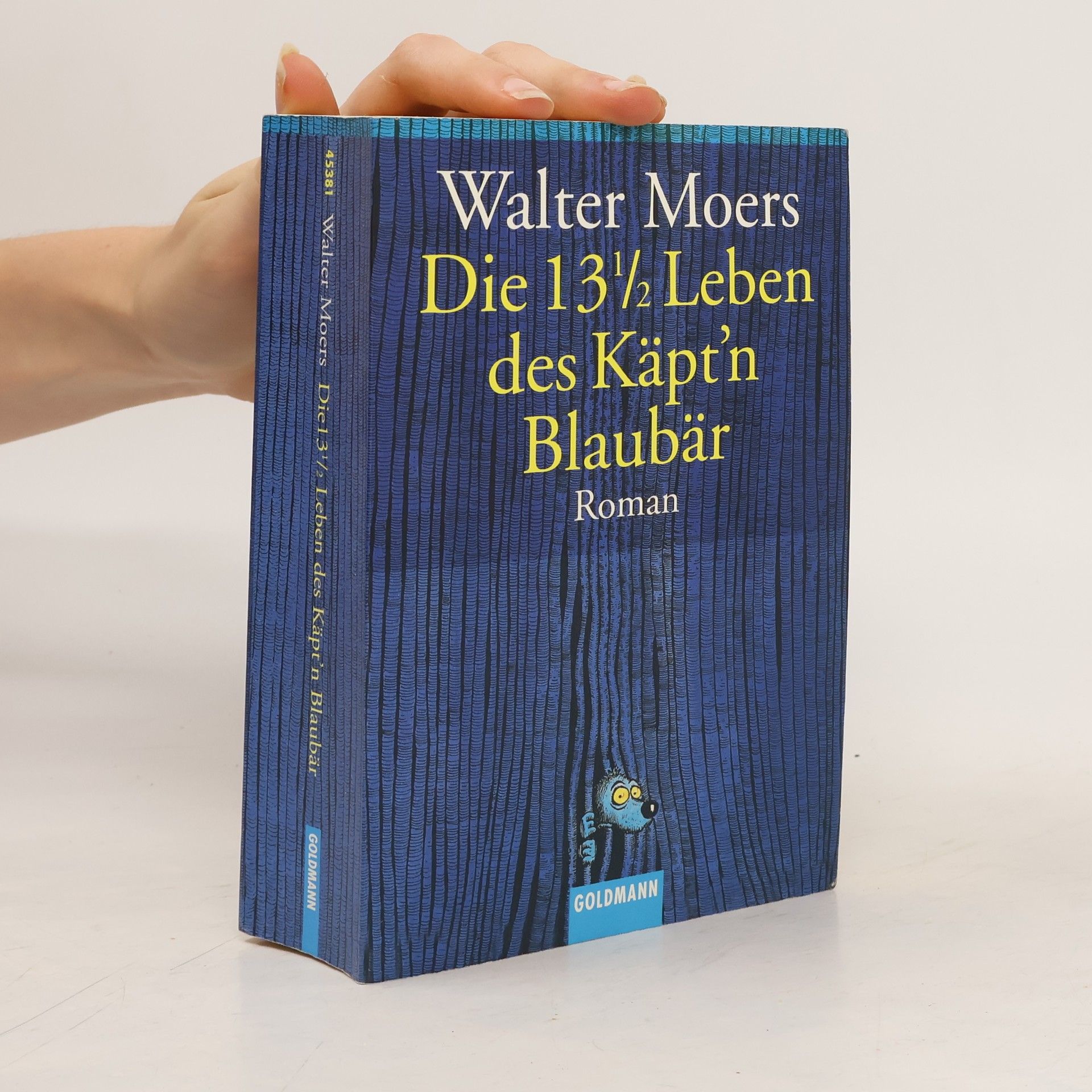 Walter Moers Die 13 1/2 Leben des Käpt'n Blaubär