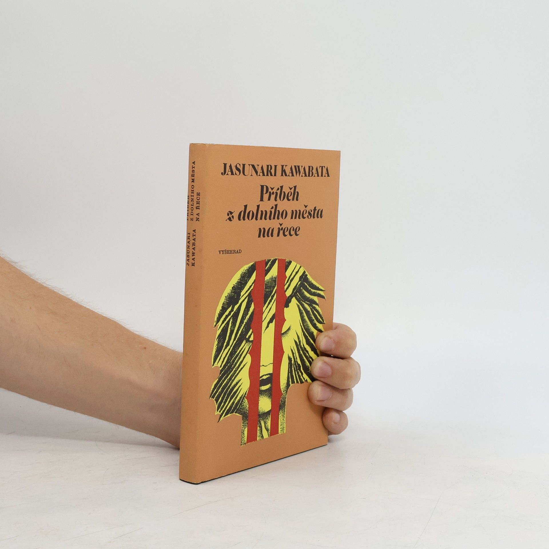 Yasunari Kawabata Příběh z dolního města na řece