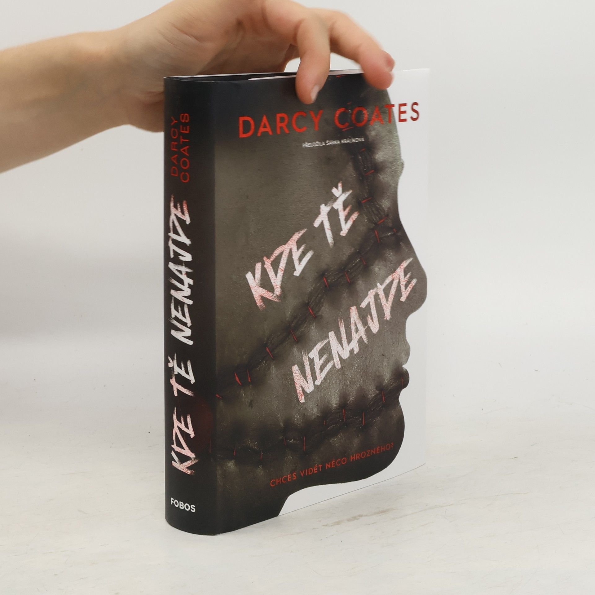 Darcy Coates Kde tě nenajde