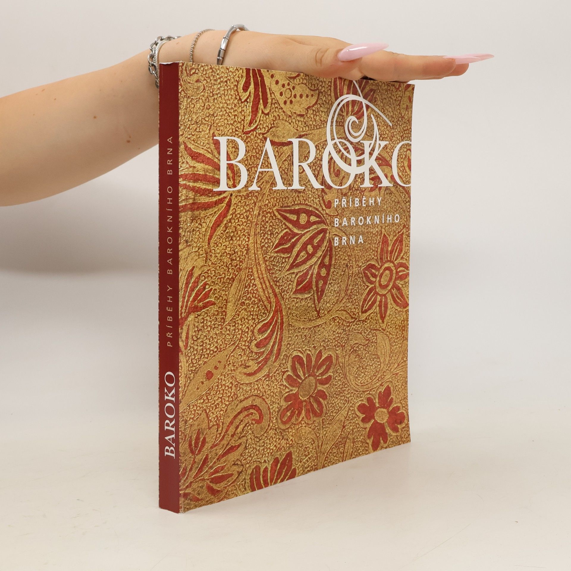 Jiří Kroupa Baroko - Příběhy barokního Brna