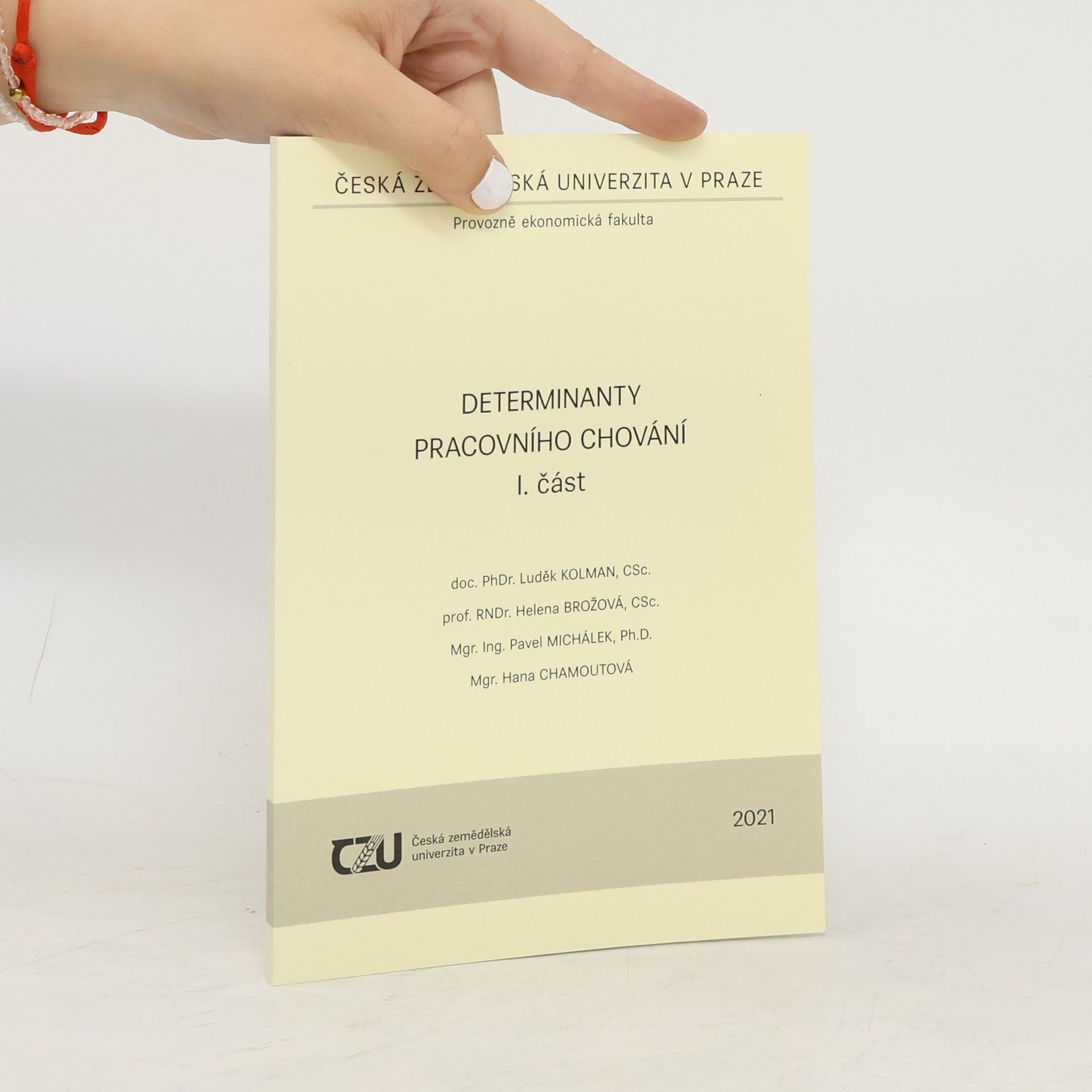 Luděk Kolman Determinanty pracovního chování. I. část