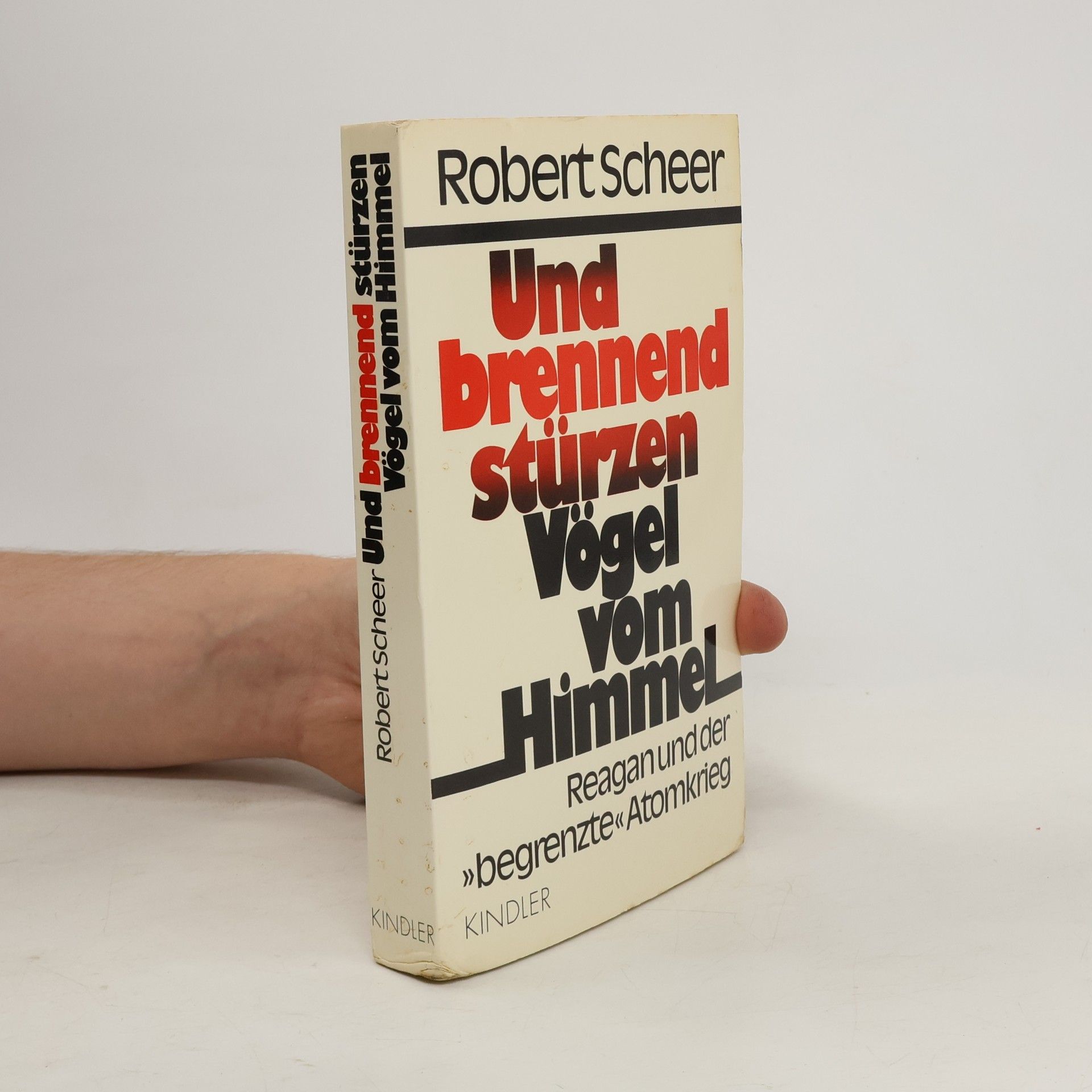Robert Scheer Und brennend stürzen Vögel vom Himmel