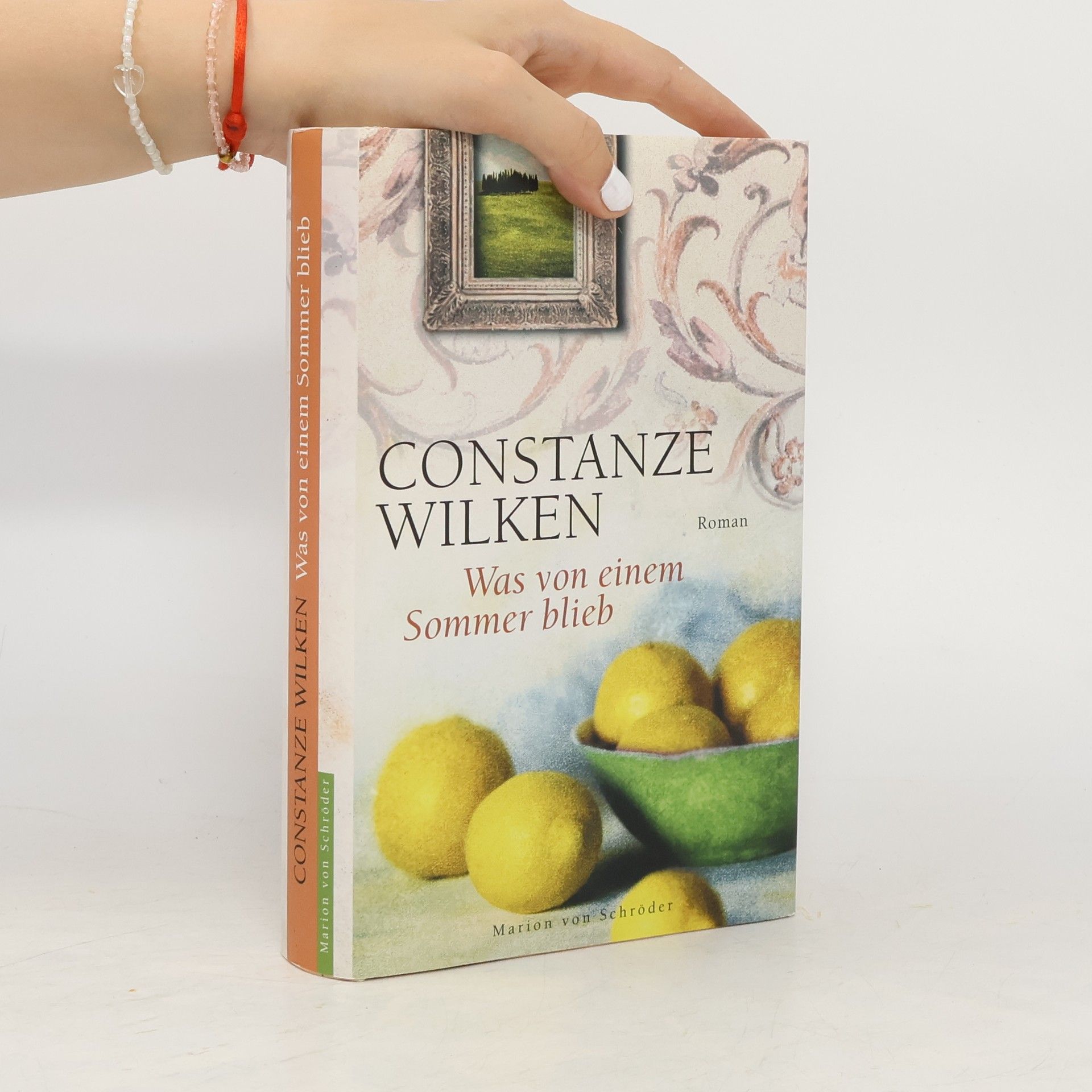Constanze Wilken Was von einem Sommer blieb