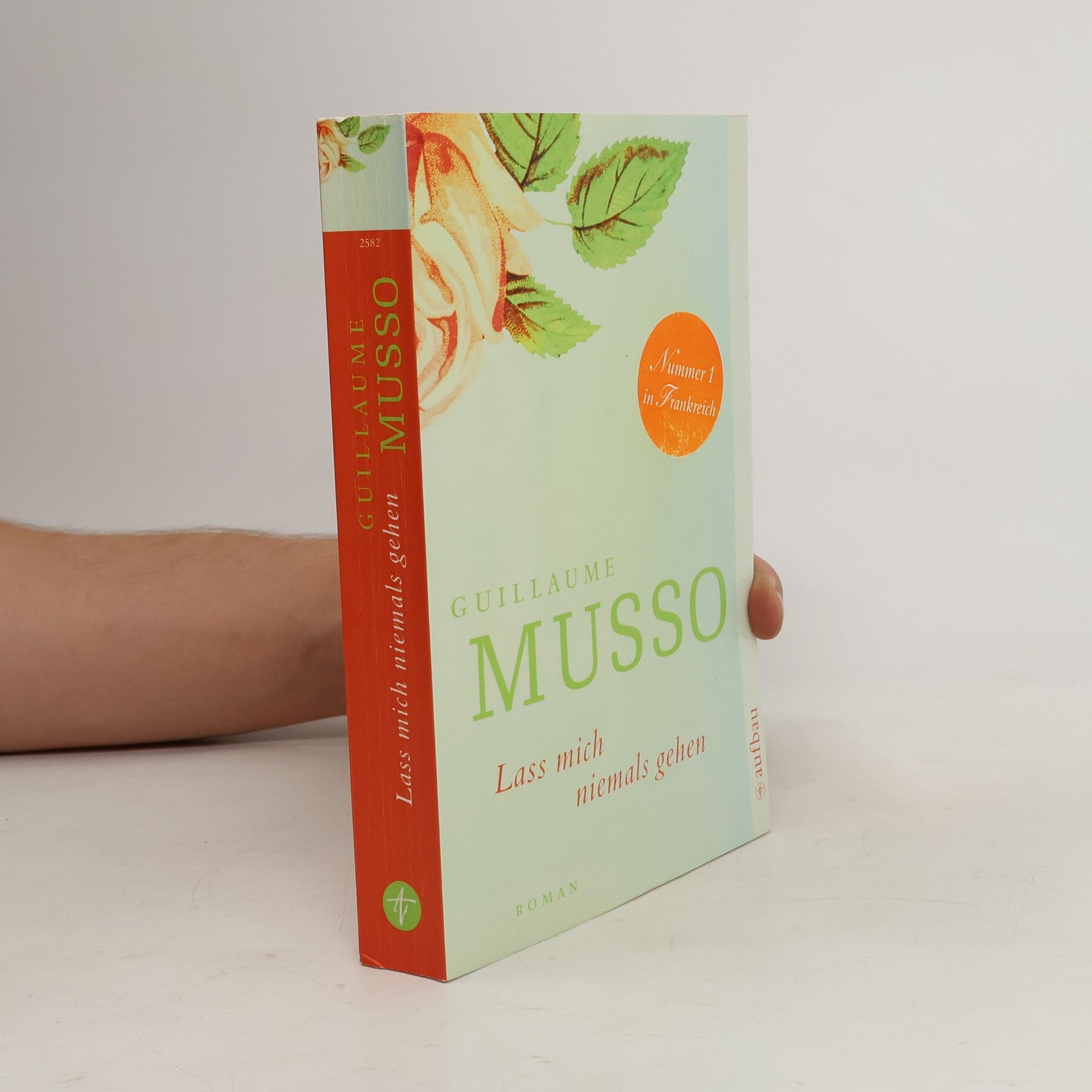 Guillaume Musso Lass mich niemals gehen