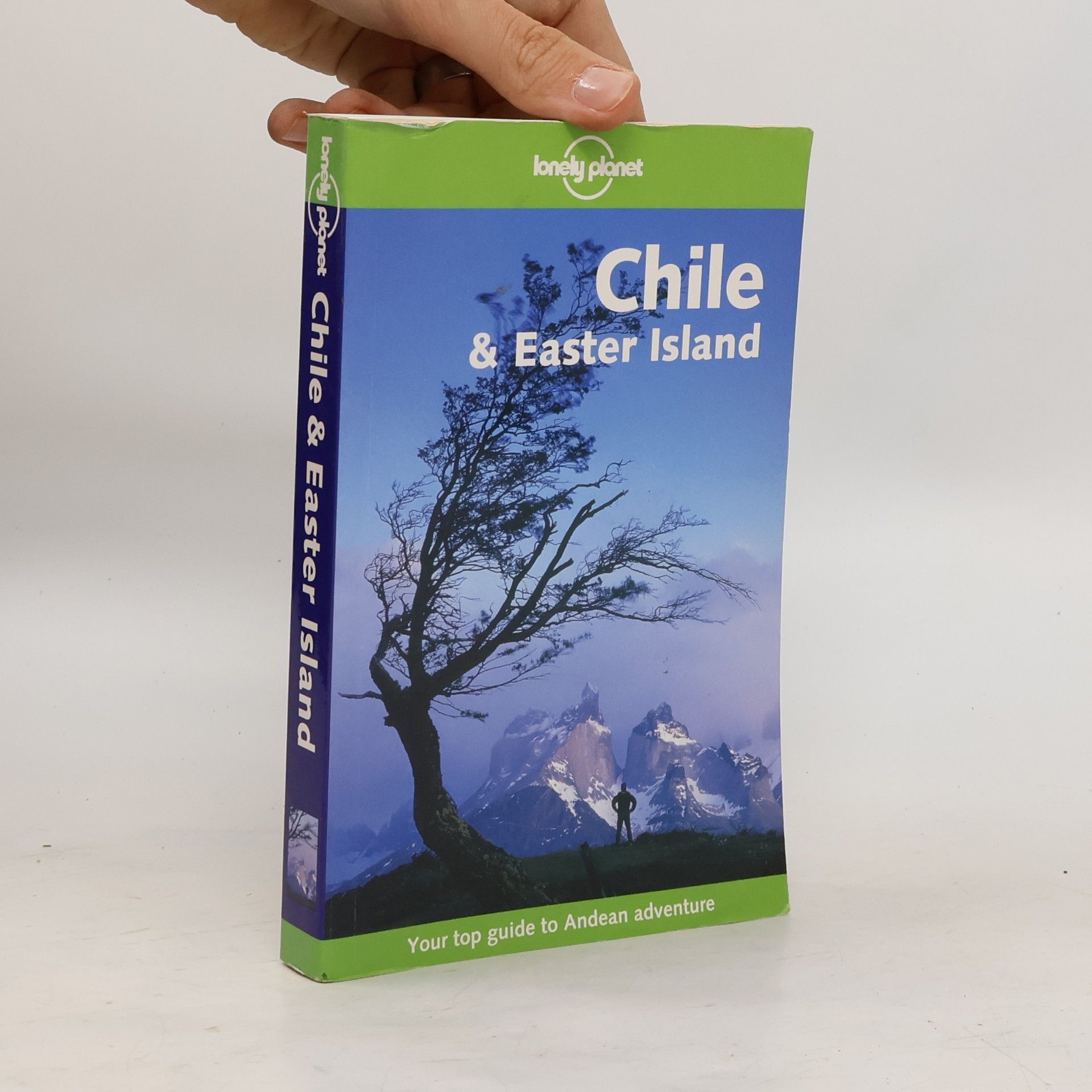 Carolyn Hubbard Chile & Easter Island