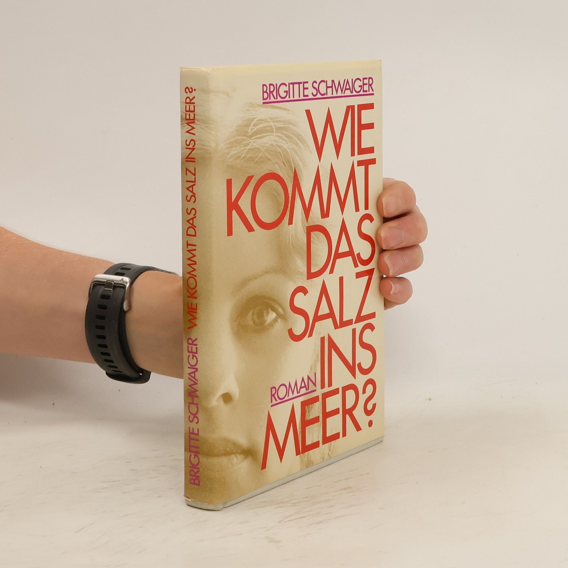 Brigitte Schwaiger Wie kommt das Salz ins Meer?