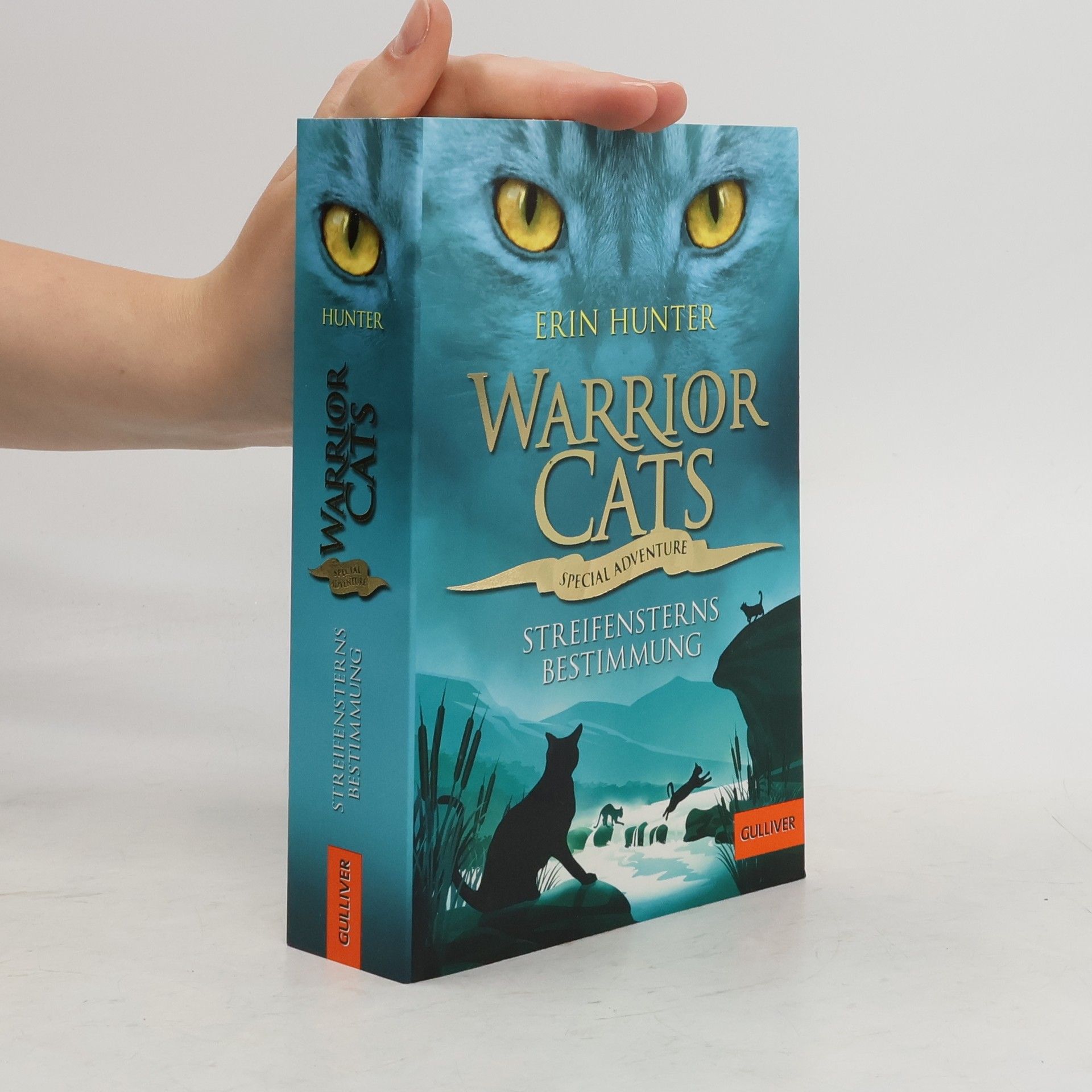 Erin Hunter Streifensterns Bestimmung
