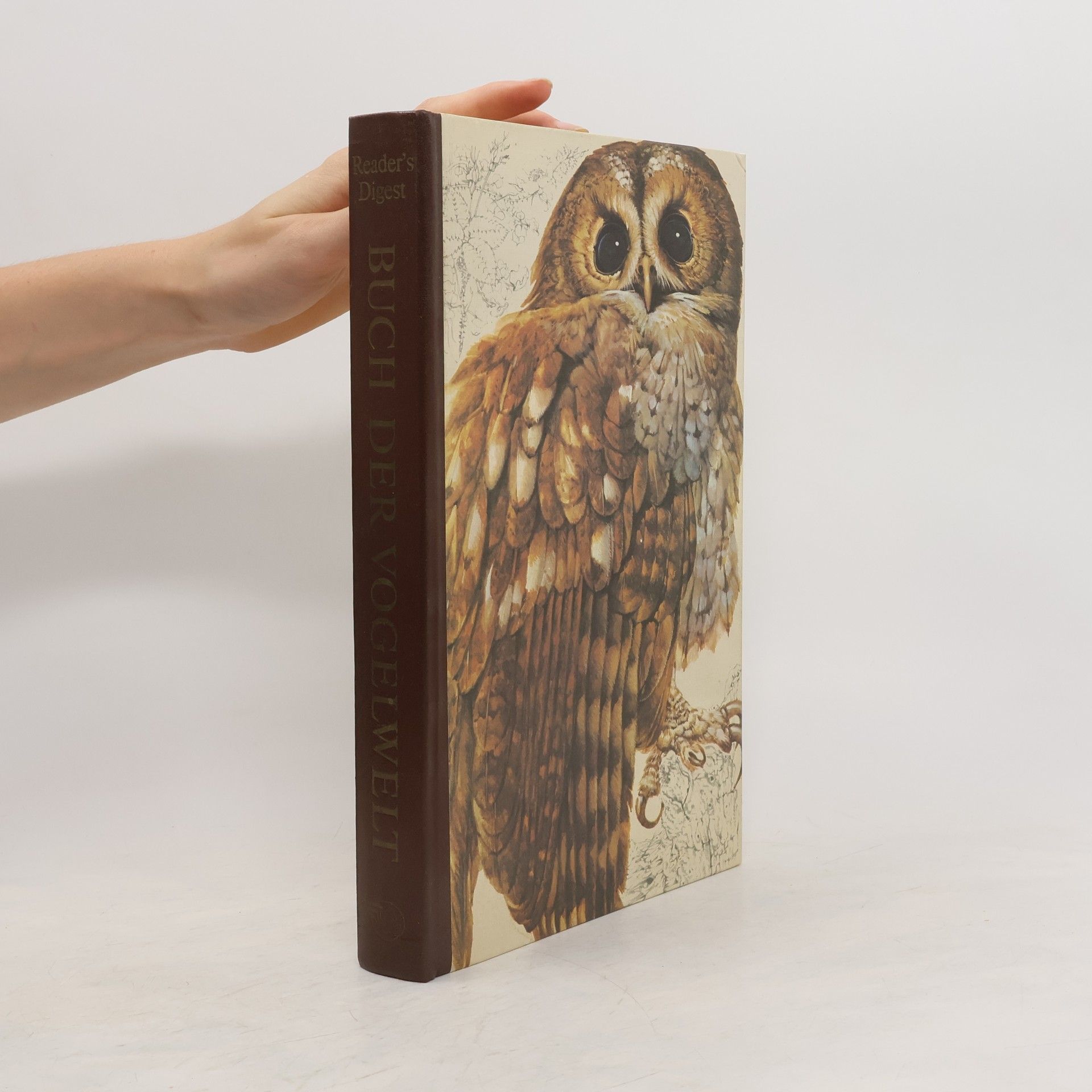 Günther Niethammer Das Reader's Digest Buch der Vogelwelt Mitteleuropas