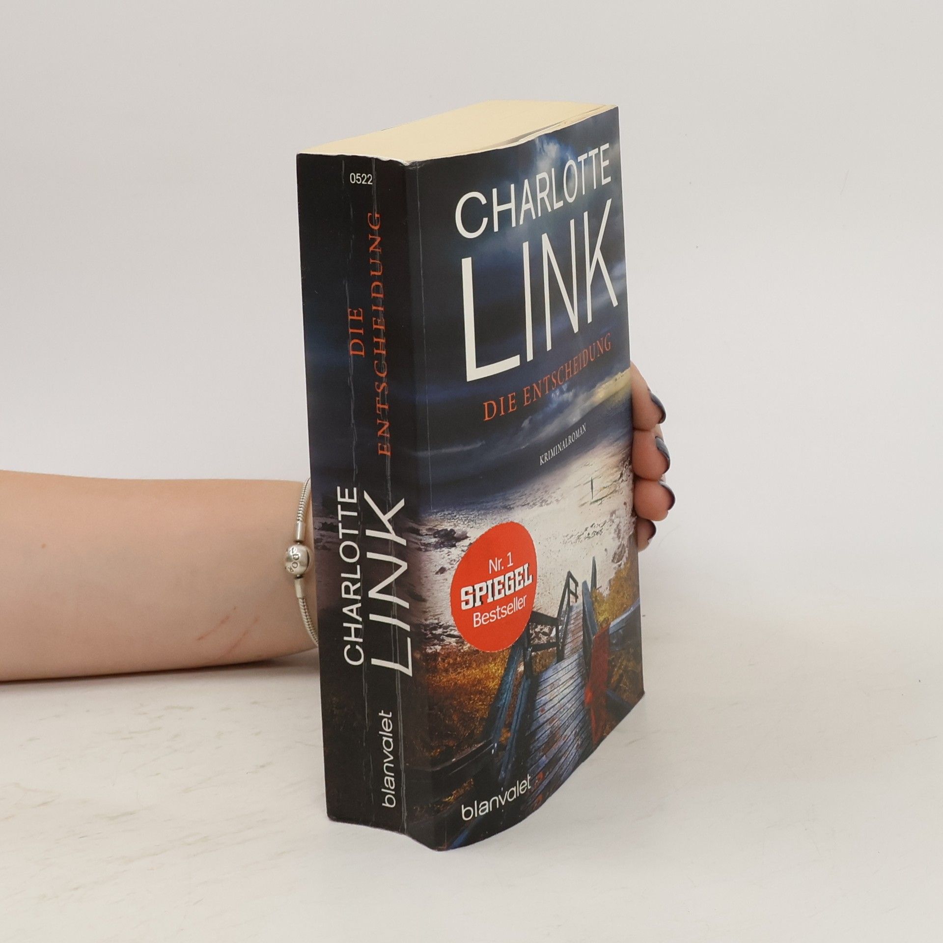Charlotte Link Die Entscheidung
