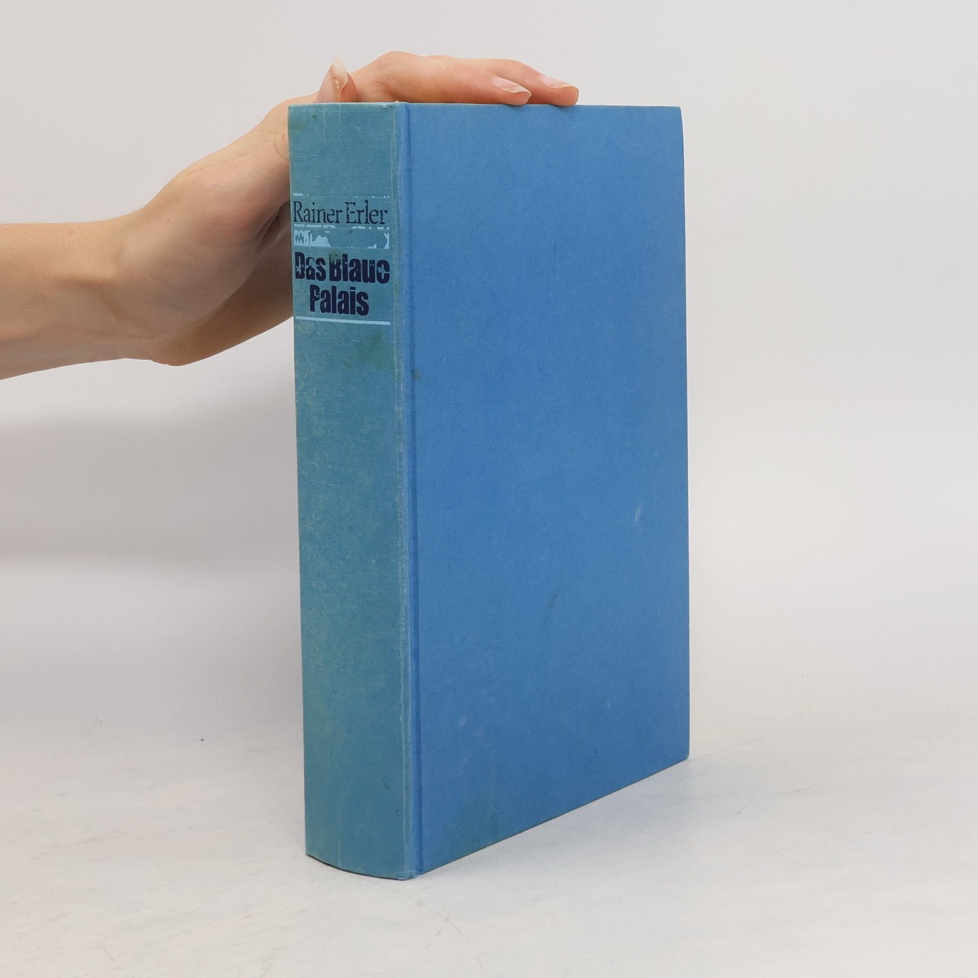Rainer Erler Das Blaue Palais (5 Romane in einem Band)