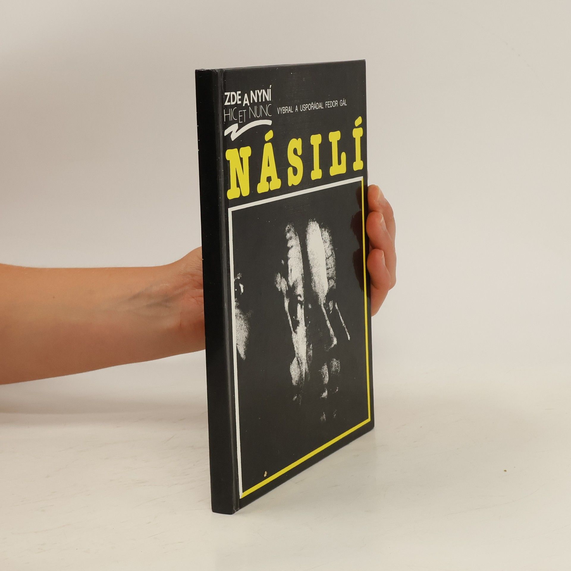 Kolektiv autorů Násilí