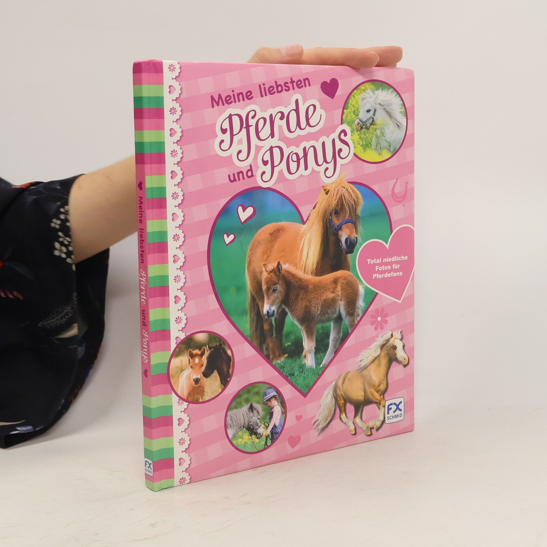 Laura Aceti Meine liebsten Pferde und Ponys