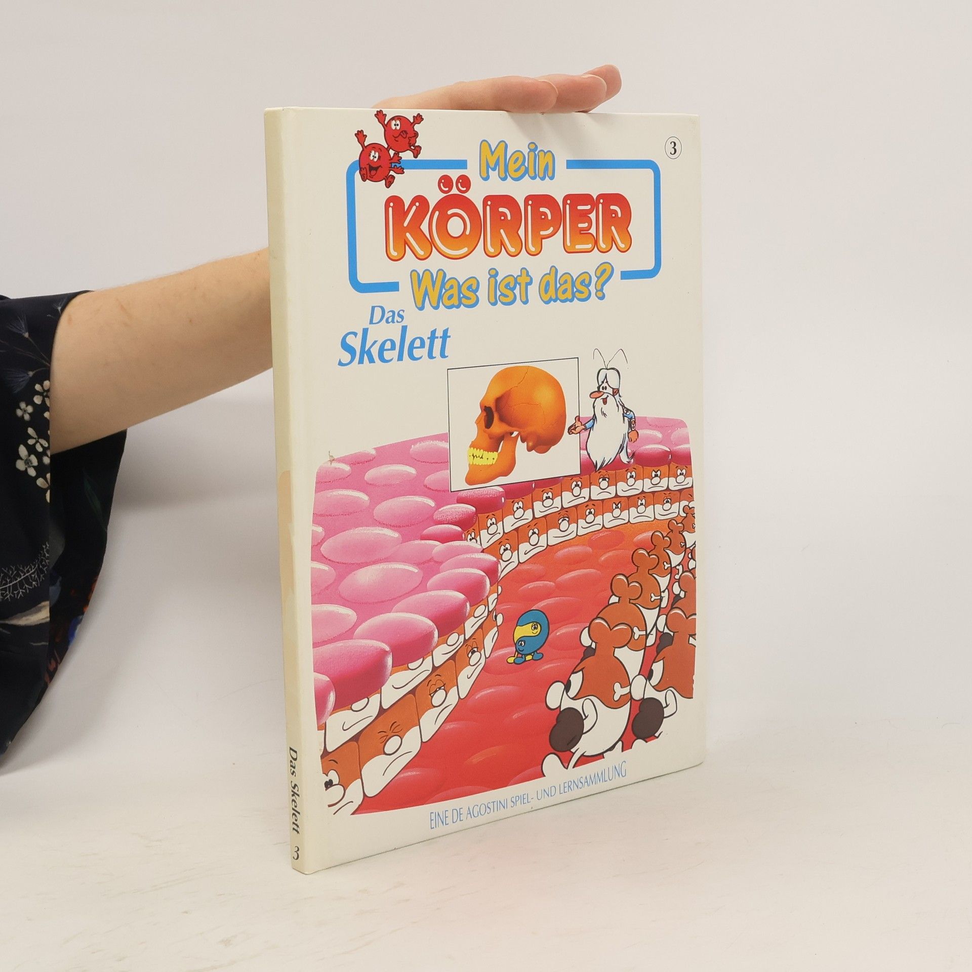 kolektiv Mein Körper. Was ist das? Das Skelett