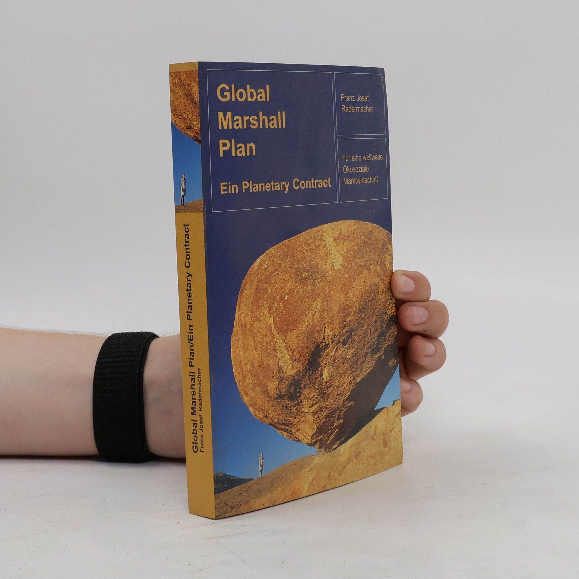 Franz Josef Radermacher Global Marshall Plan