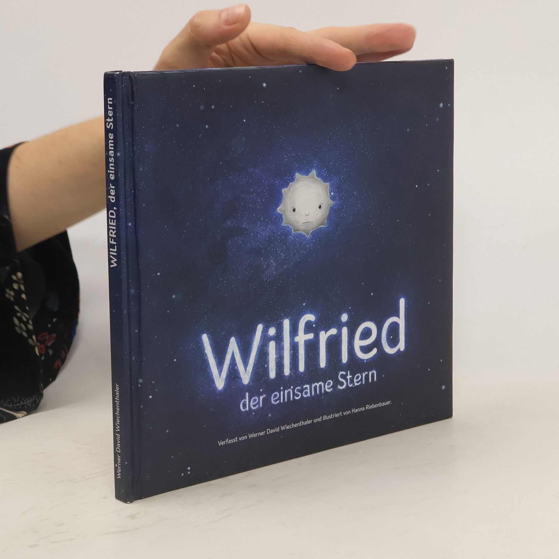 Werner David Wiechenthaler Wilfried der einsame Stern