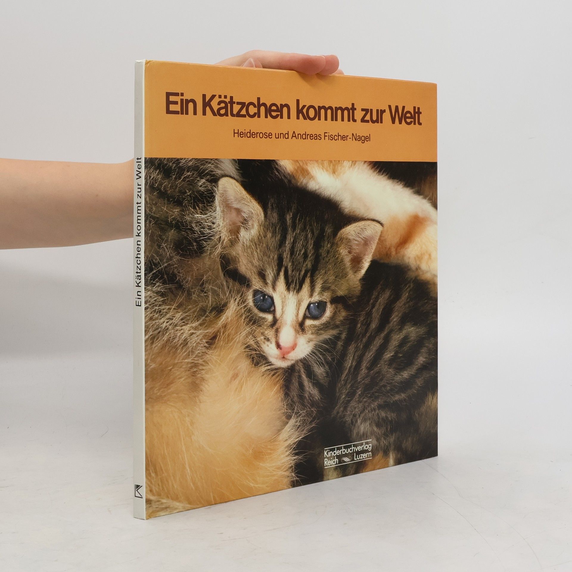 Heiderose Fischer-Nagel Ein Kätzchen kommt zur Welt