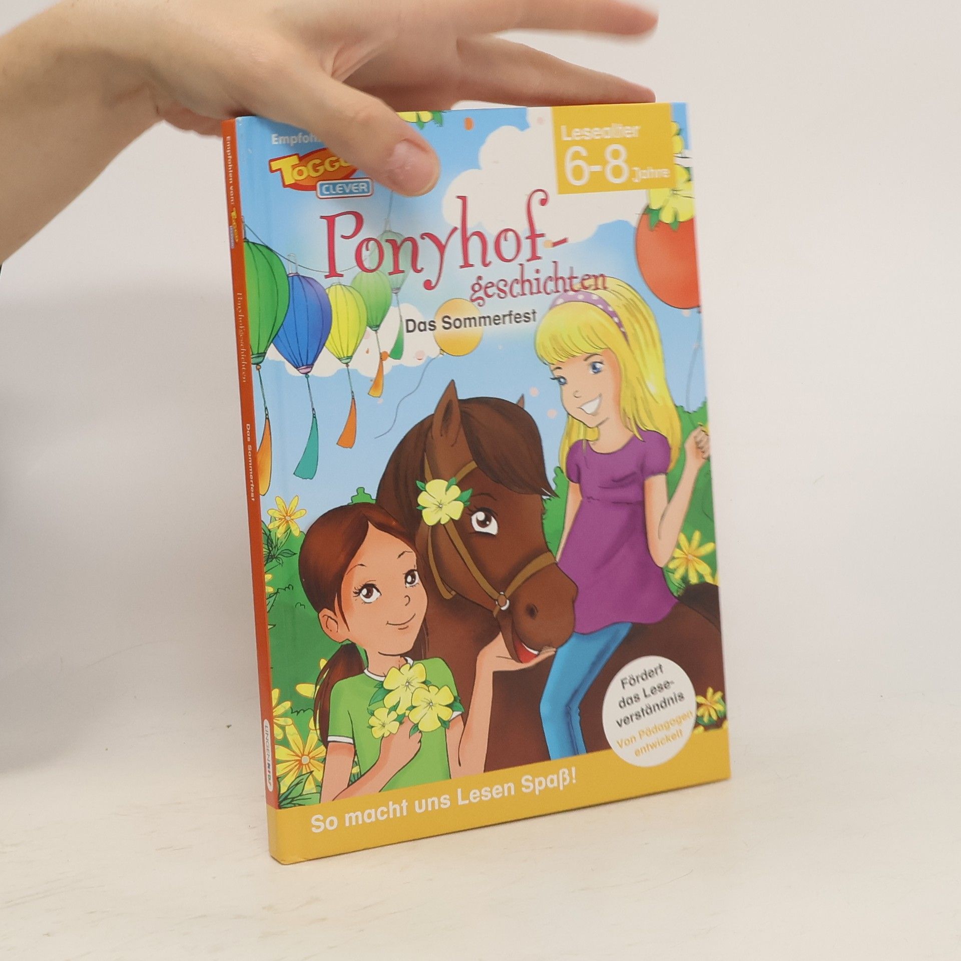 Patrizia Zannini Ponyhofgeschichten. Das Sommerfest