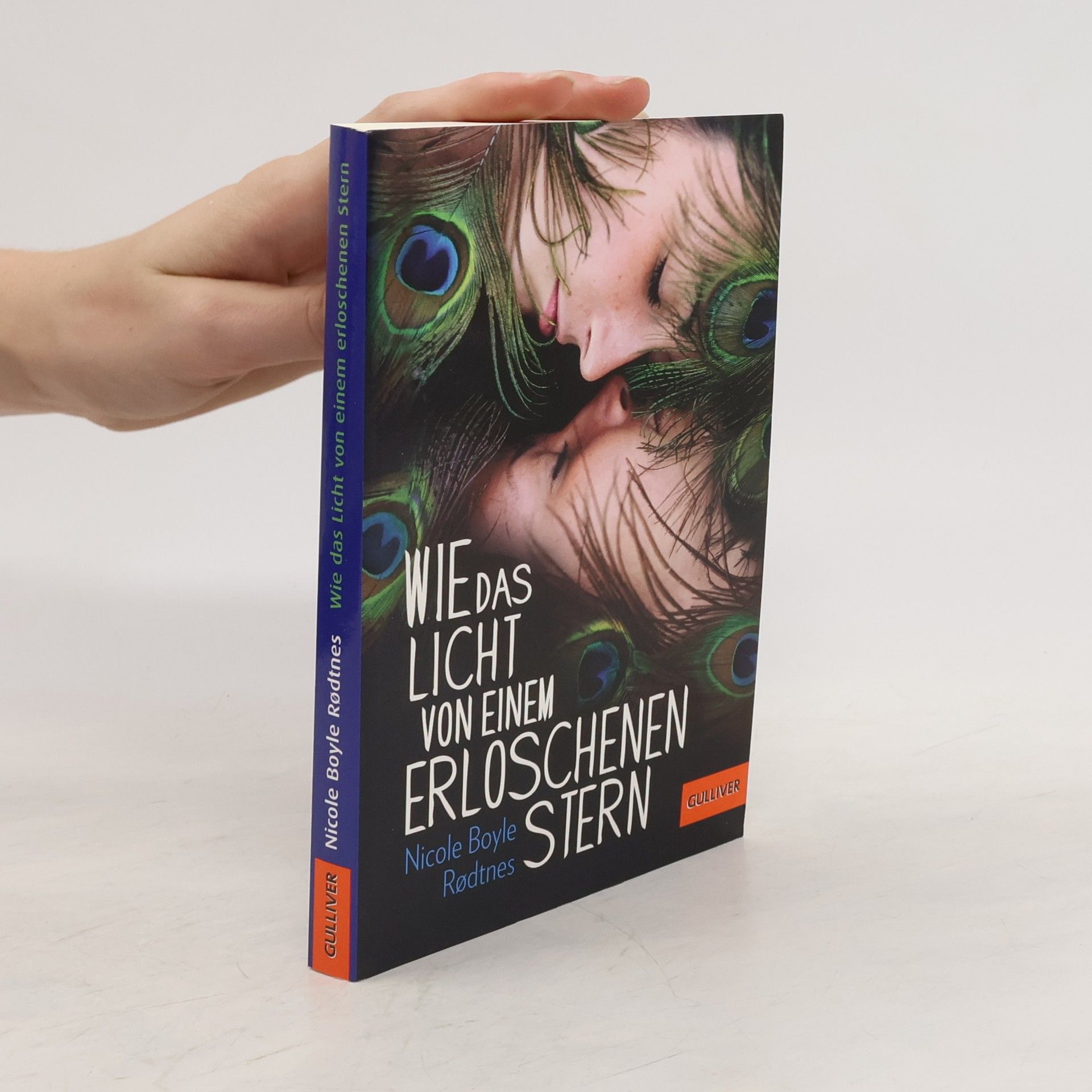 Nicole Boyle Rodtnes Wie das Licht von einem erloschenen Stern
