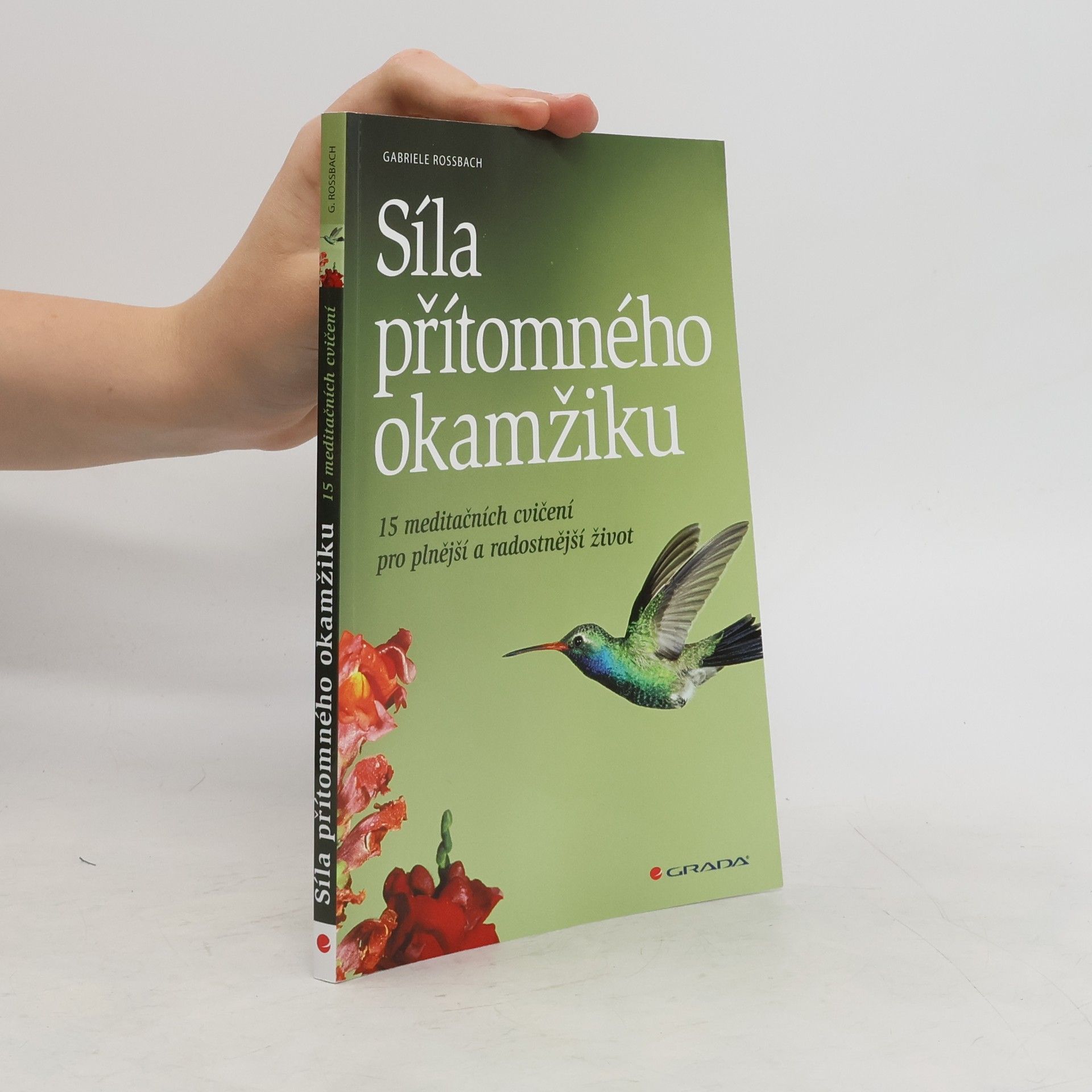 Gaby Rossbach Síla přítomného okamžiku