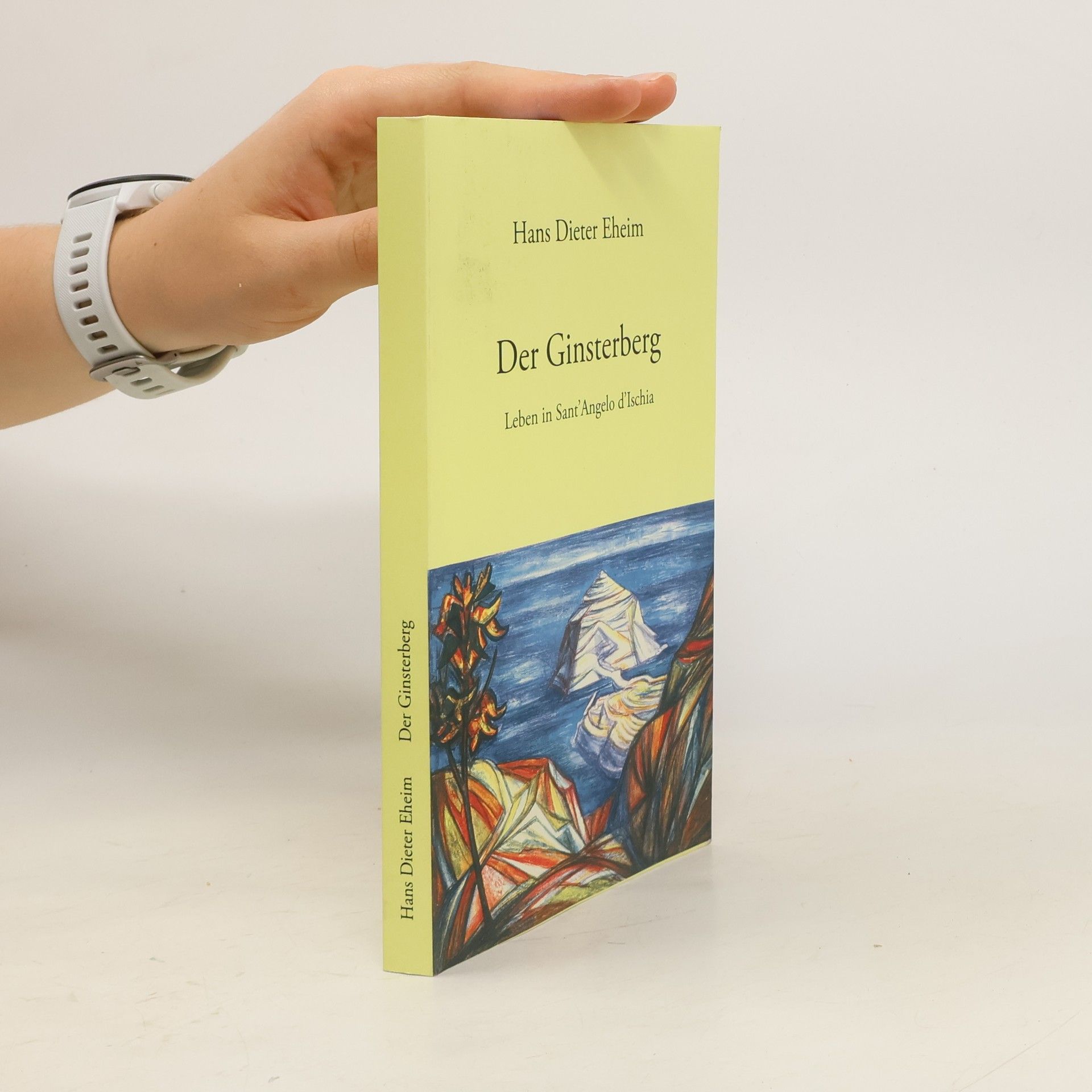 Hans Dieter Eheim Der Ginsterberg