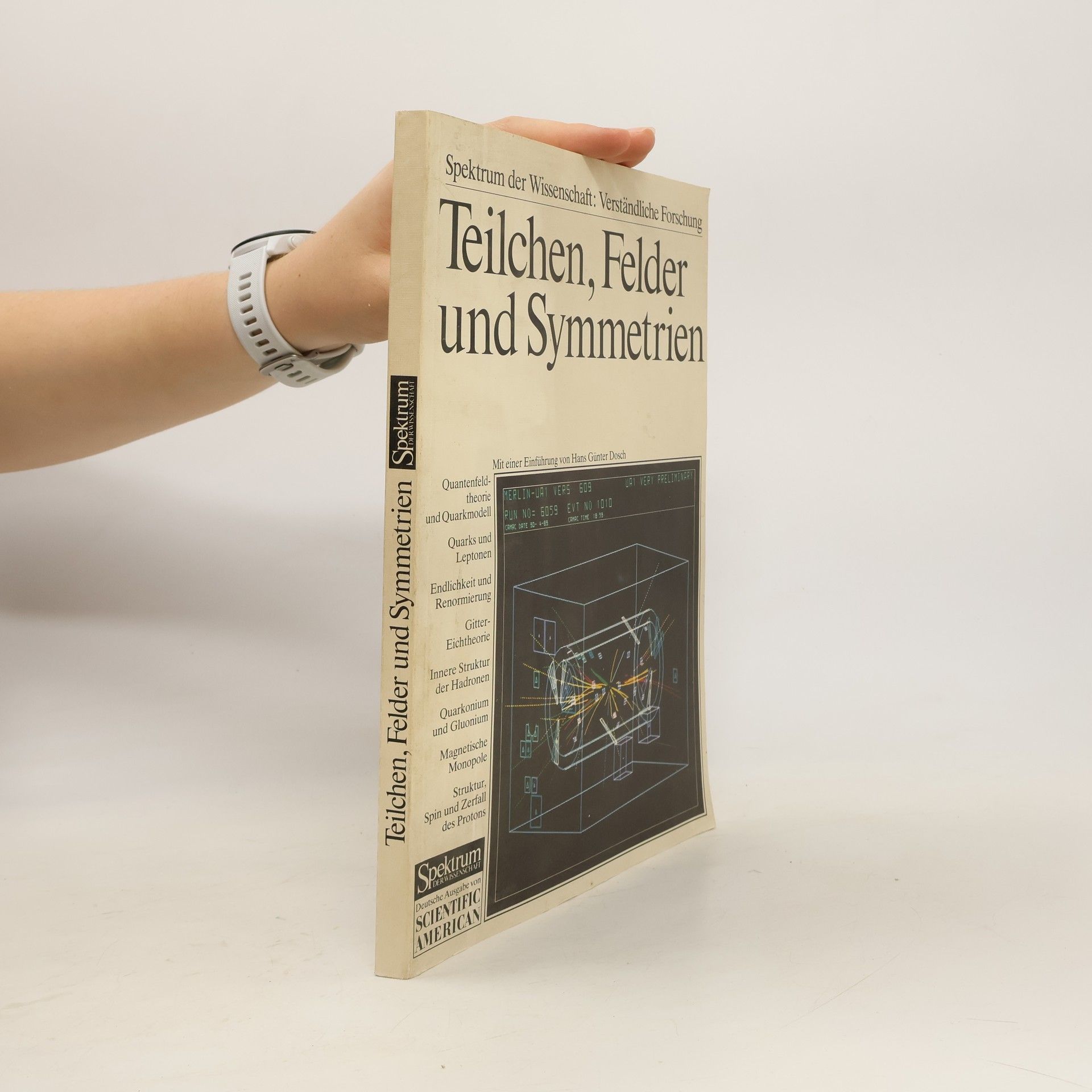 Hans Günter Dosch Teilchen, Felder und Symmetrien