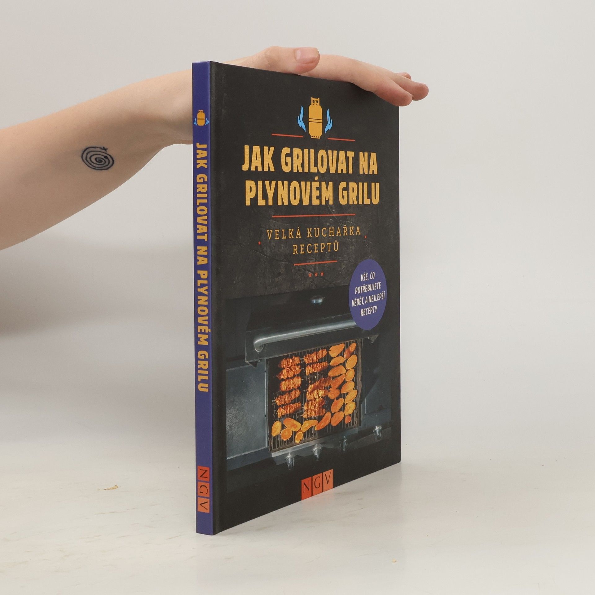kolektiv Jak grilovat na plynovém grilu