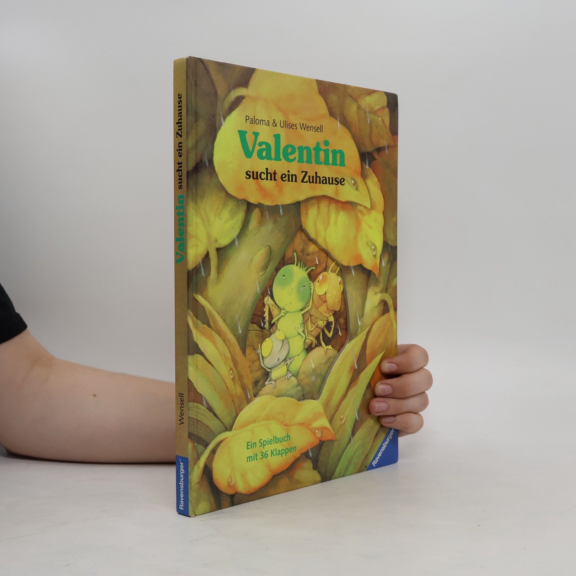 Paloma Wensell Valentin sucht ein Zuhause. Ein Spielbuch mit 36 Klappen