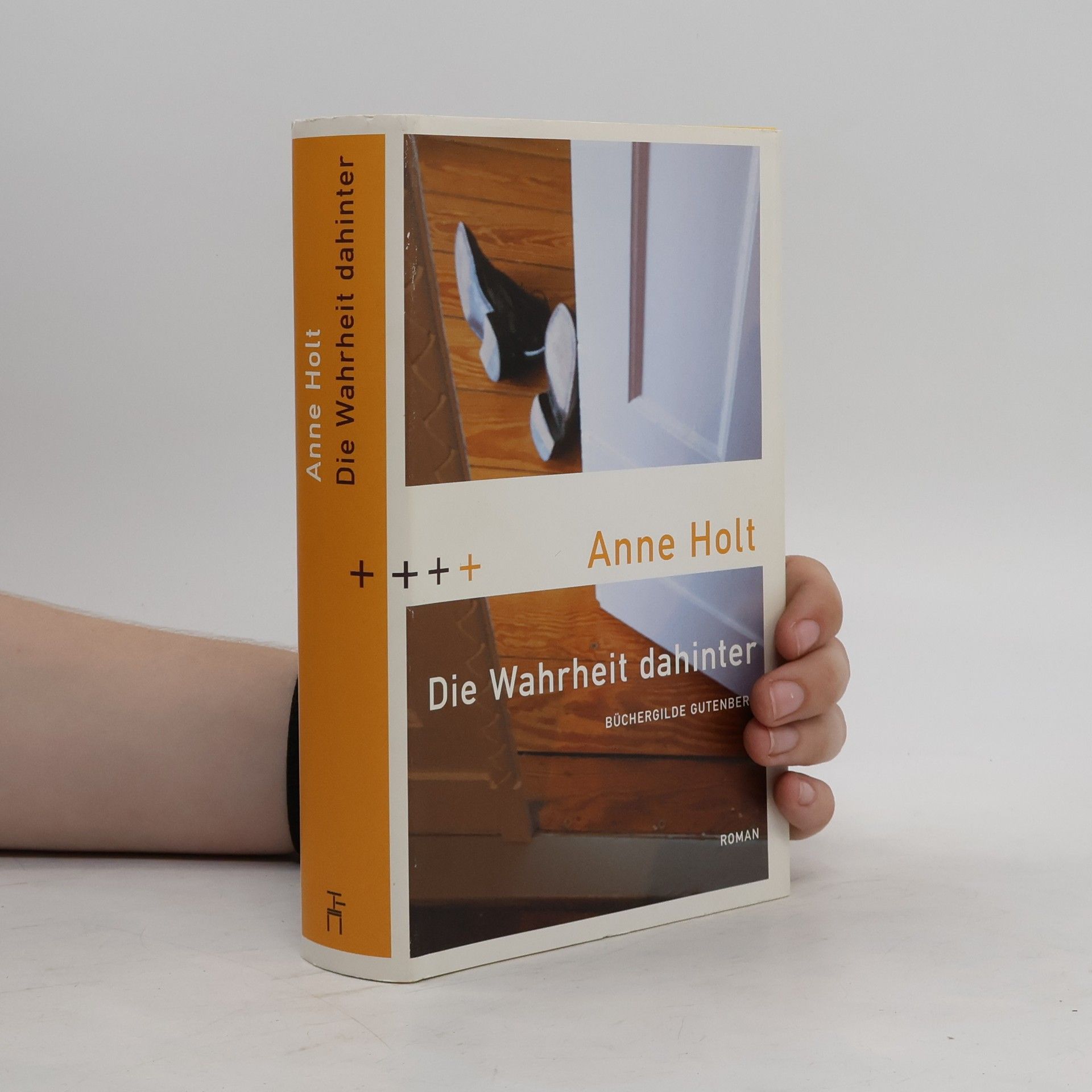 Anne Holt Die Wahrheit dahinter