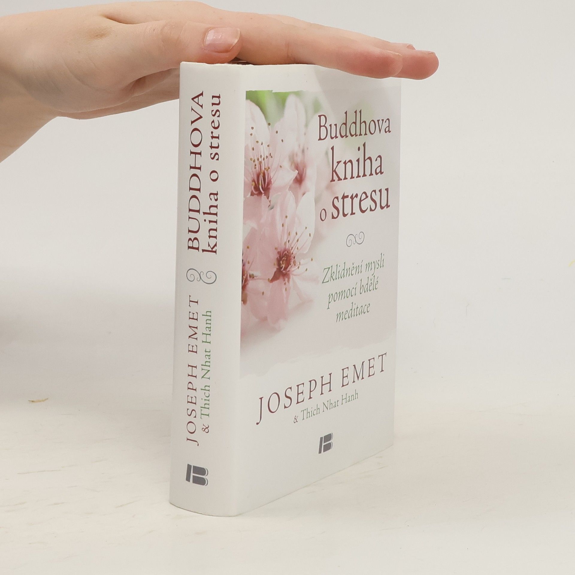 Joseph Emet Buddhova kniha o stresu: Zklidnění mysli pomocí bdělé meditace