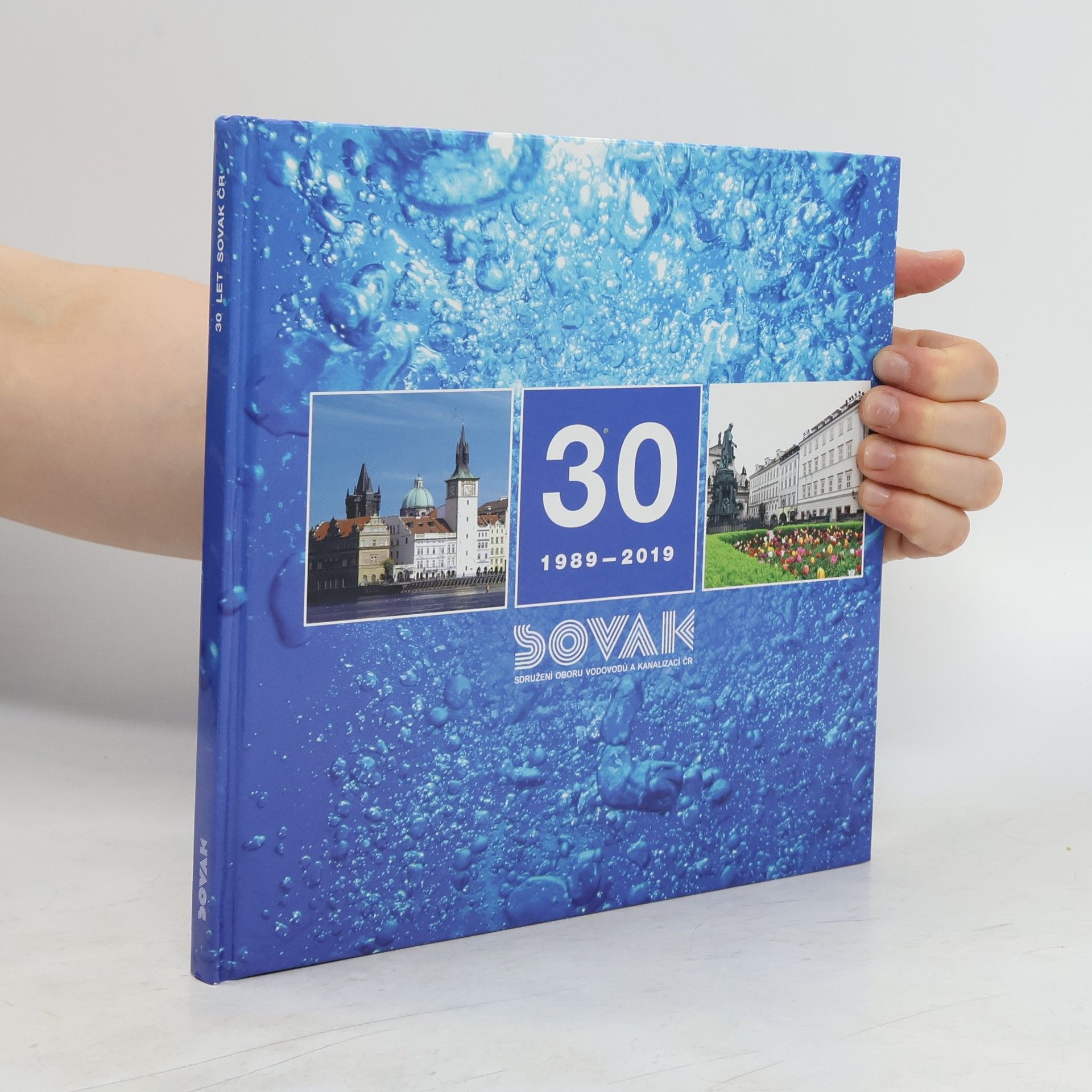 kolektiv 30 let Sovak 1989 - 2019. Sdružení oboru vodovodů a kanalizací ČR